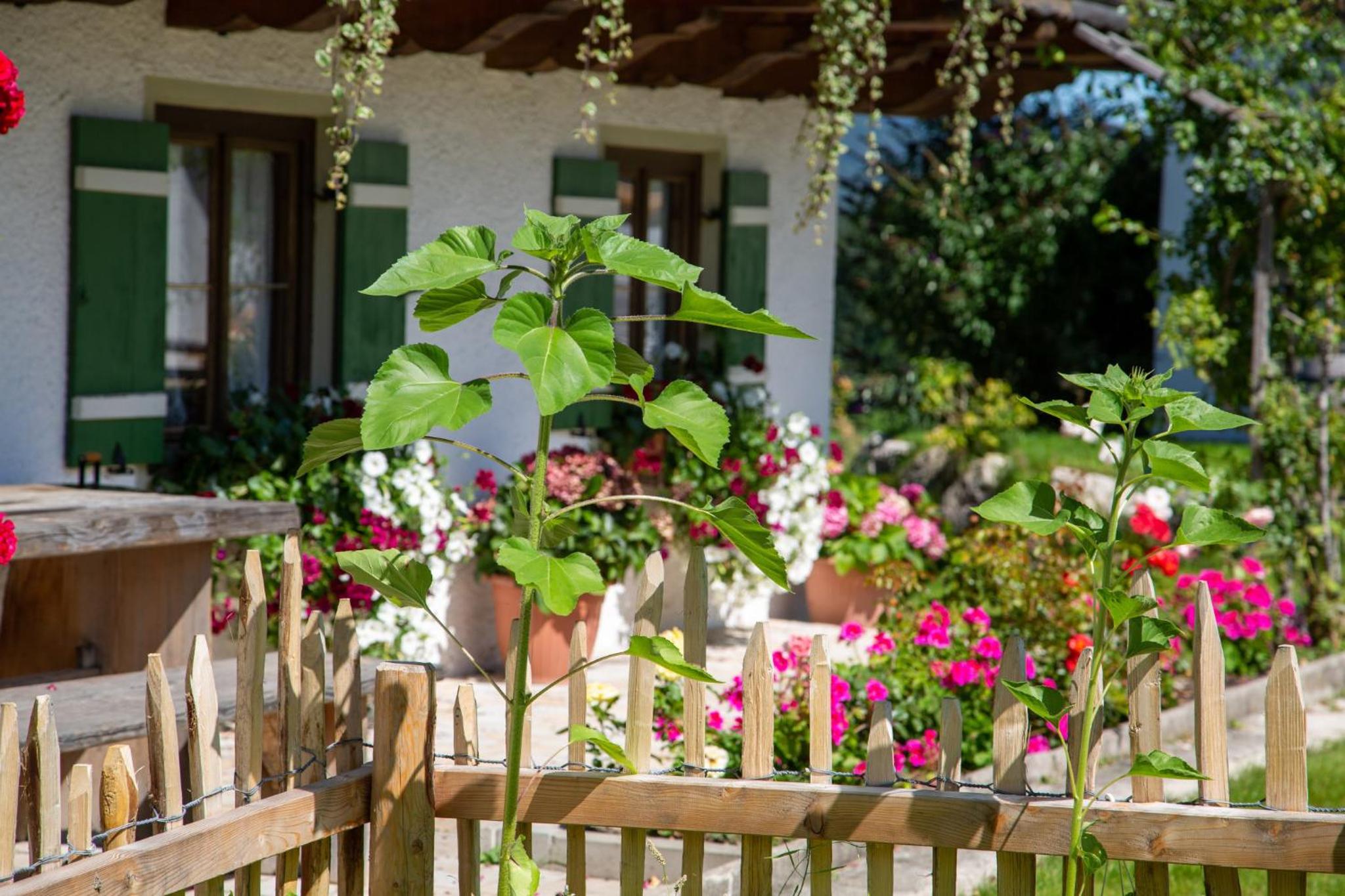 Ramslerhof - Chiemgau Karte