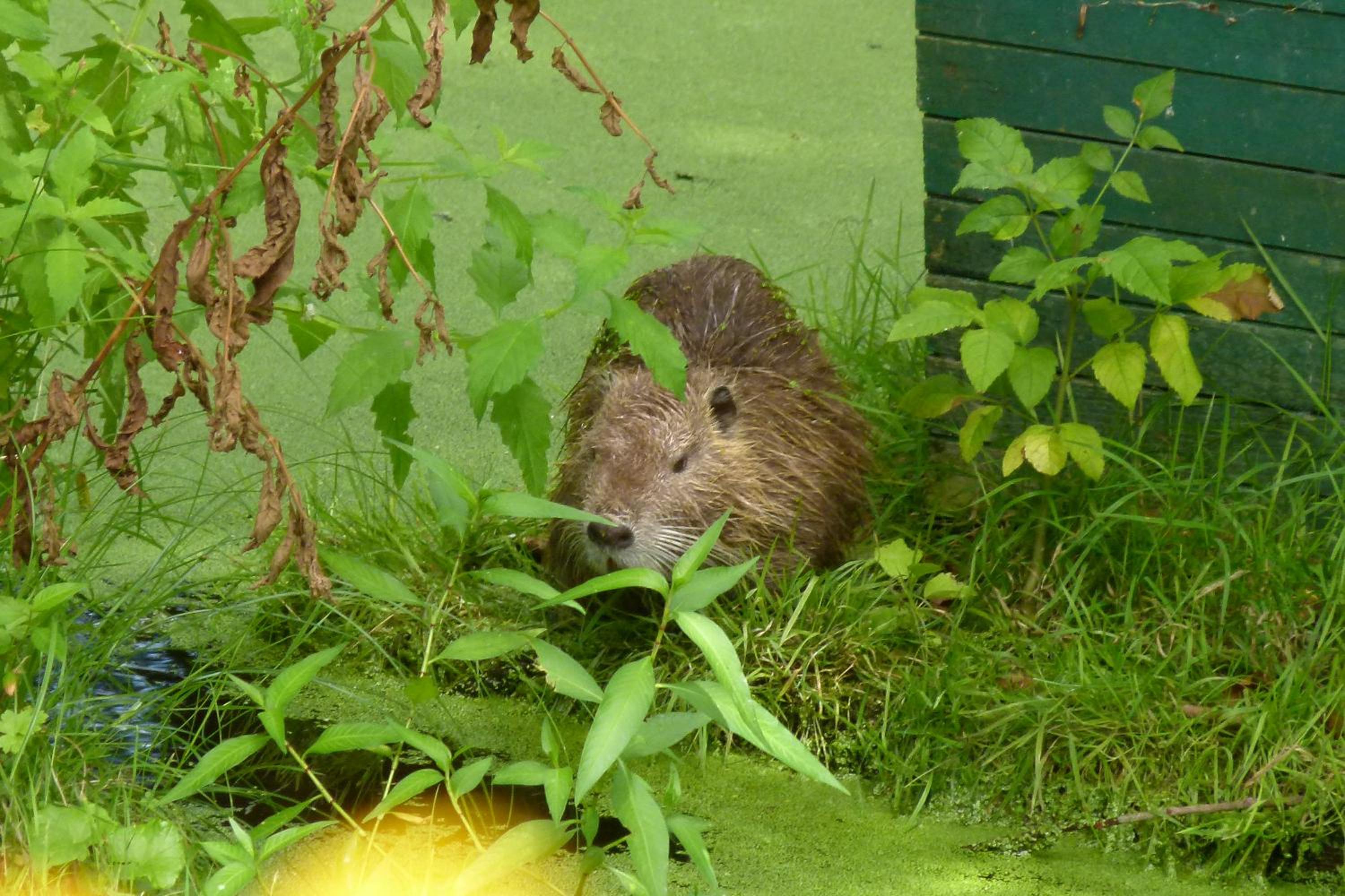 Photo 20