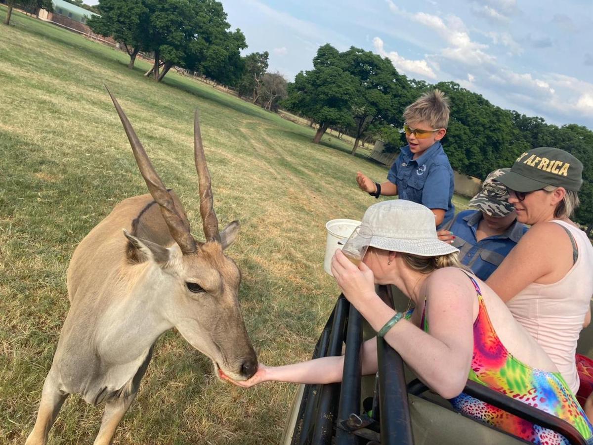 Limpopo Bushveld Retreat