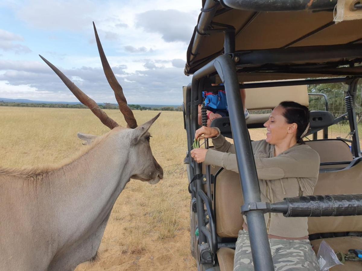 Limpopo Bushveld Retreat