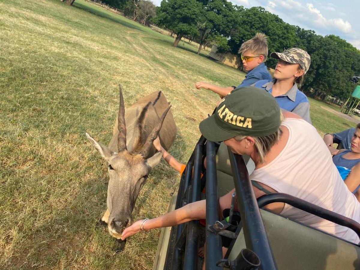 Limpopo Bushveld Retreat
