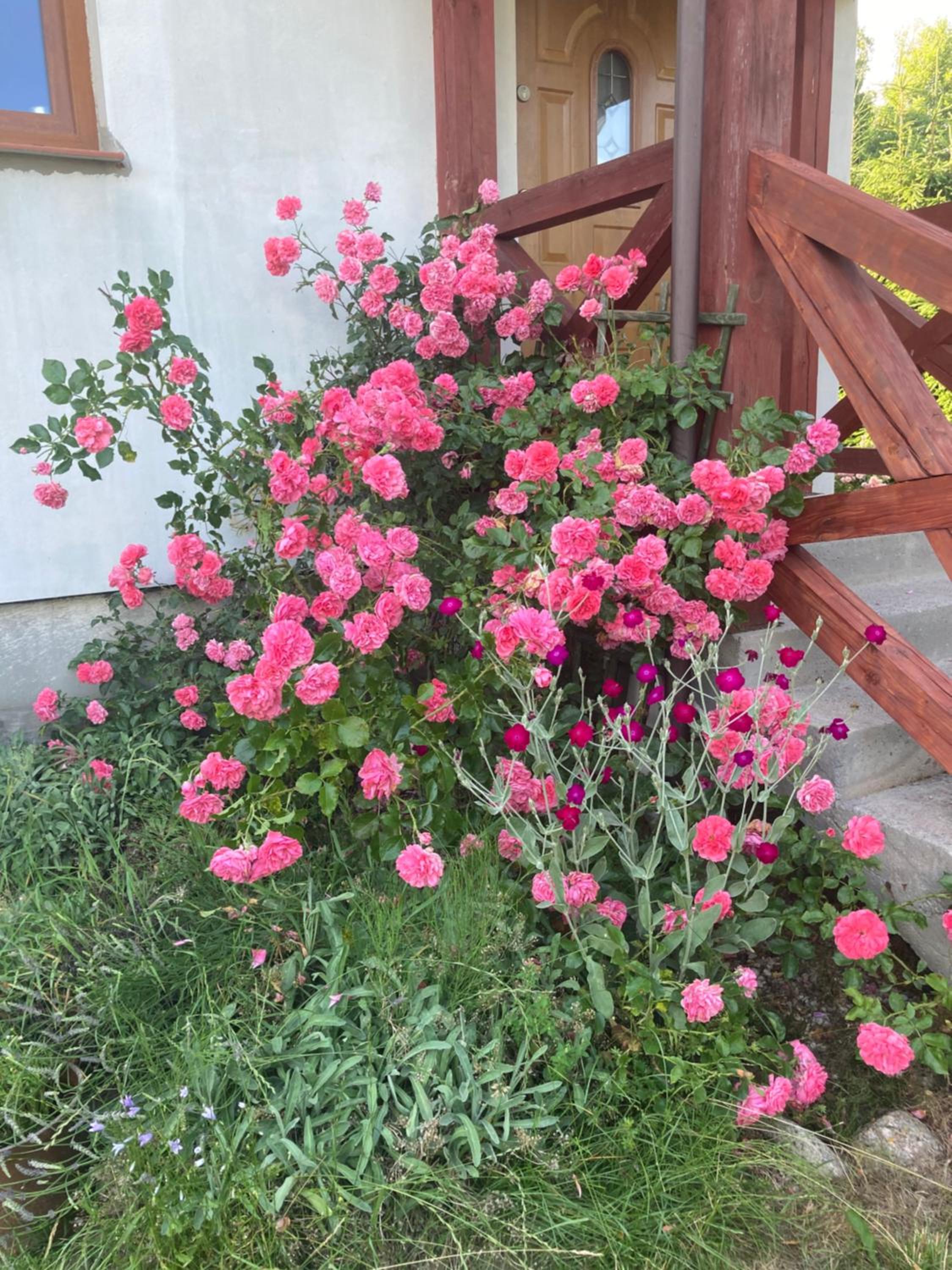 Photo 47