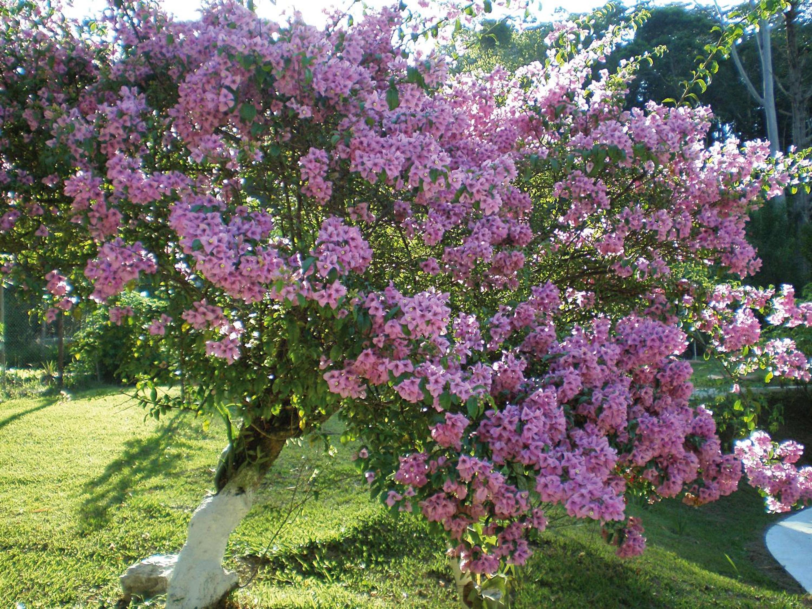 LINDA CHACARA, SOSSEGO E PISCINA