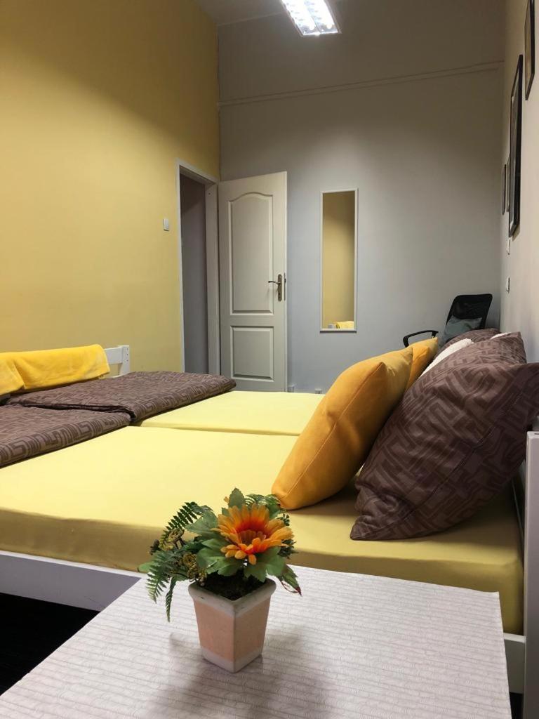 Spacious old town Apartments Sarajevo Ferhadija
