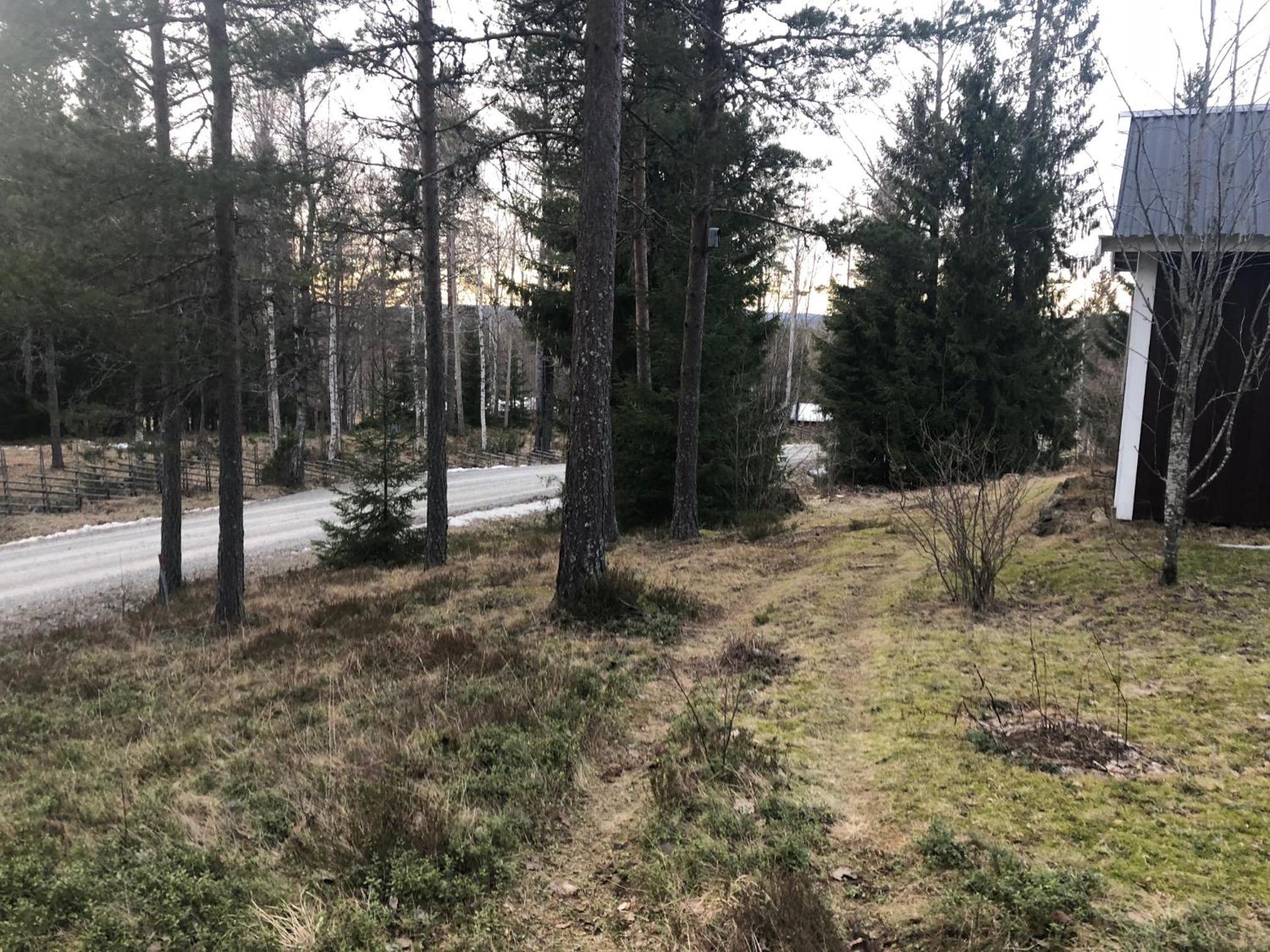Paradiset stugan i fin skogen