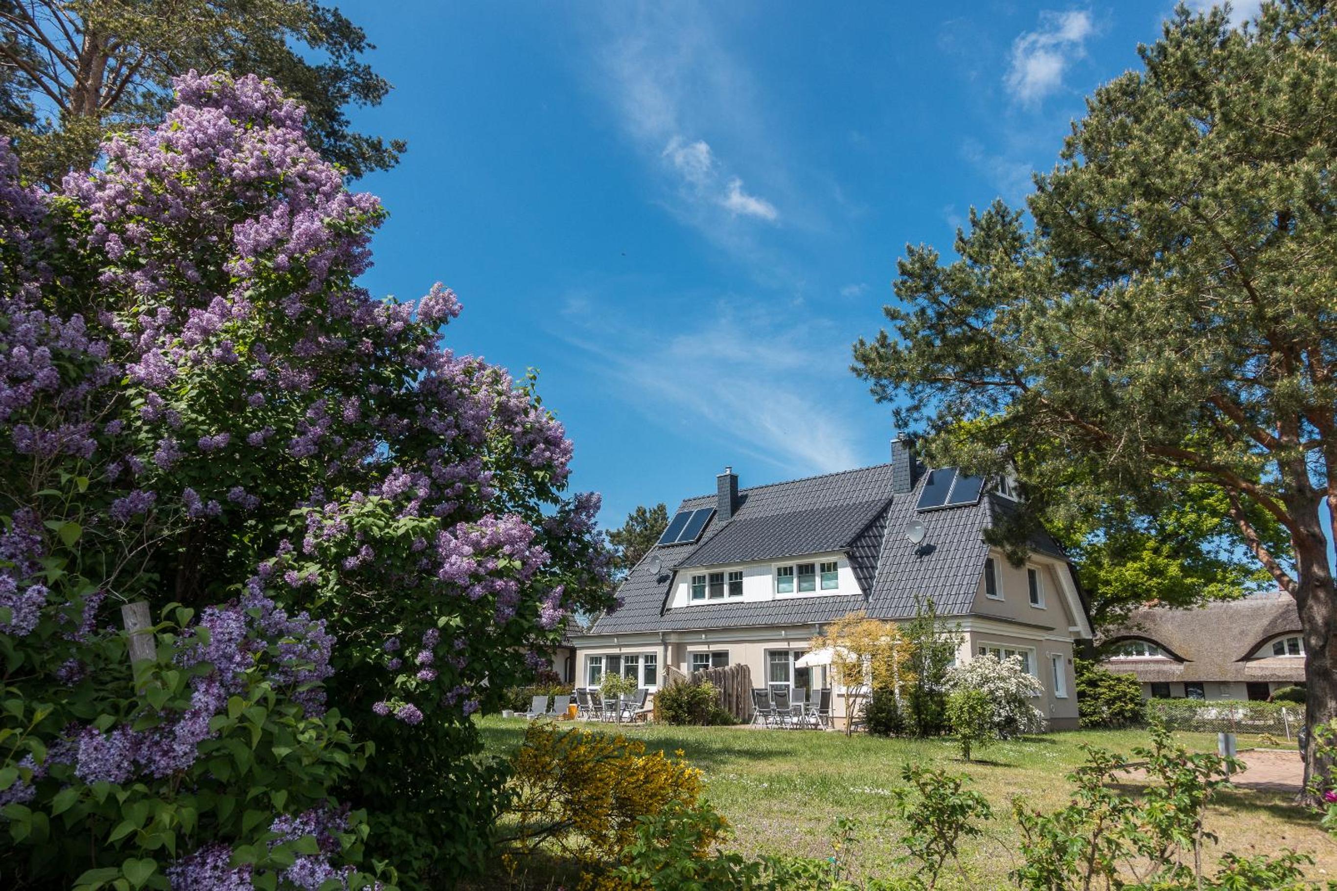Premiumhaus Bodden und Mehr-Brise