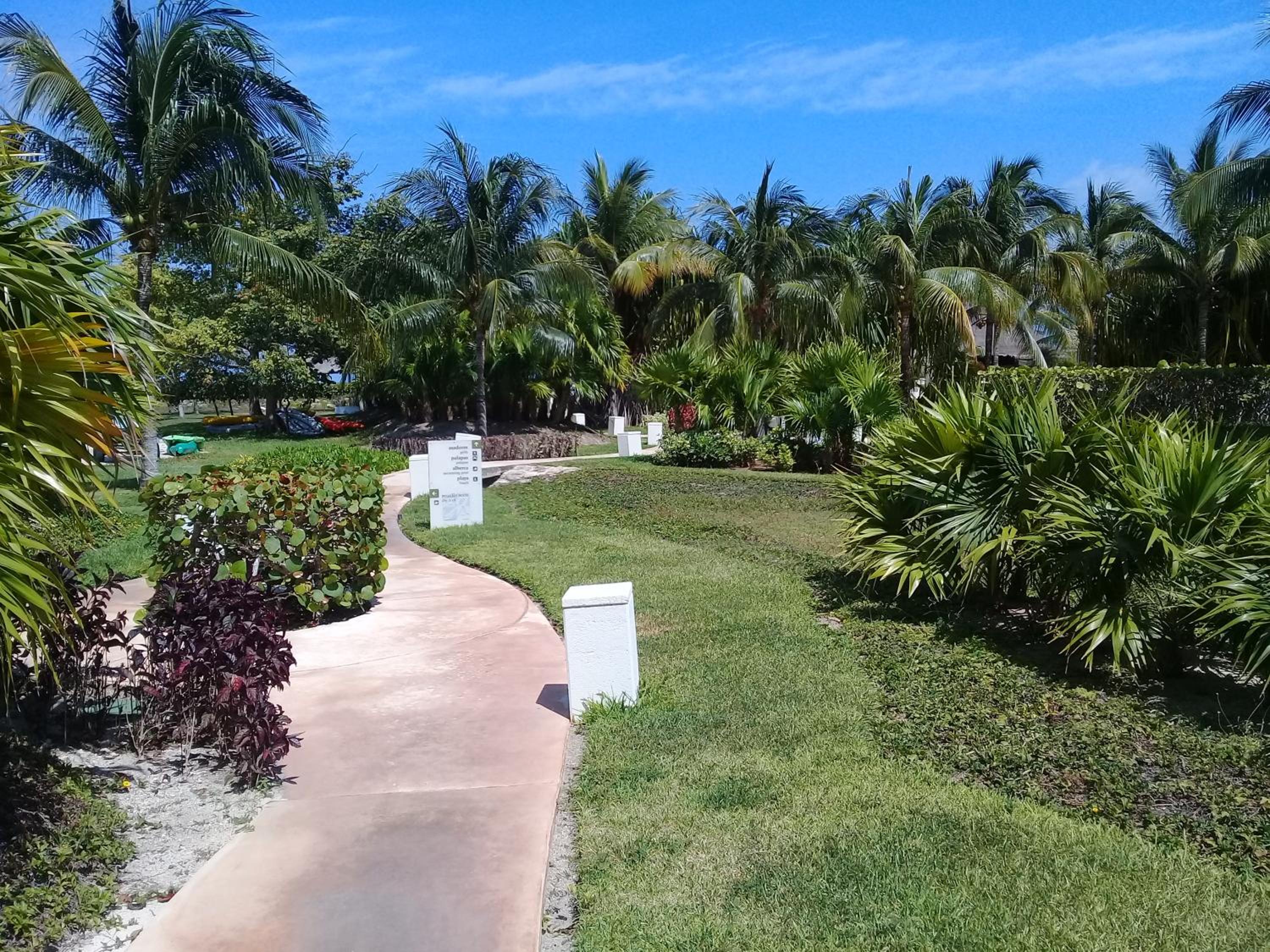 Swim the Caribbean & Work with a View