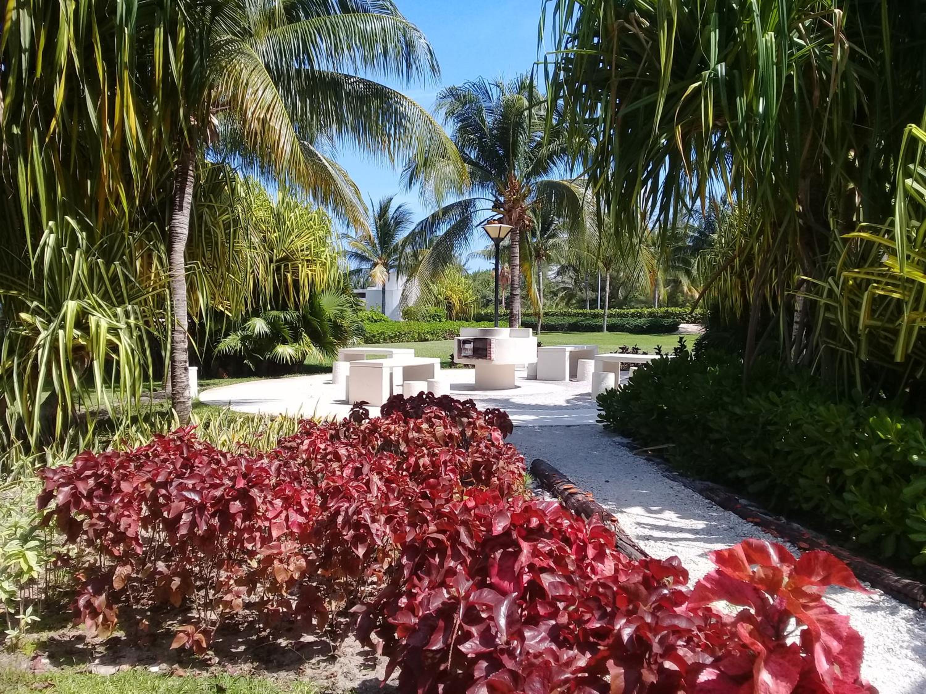 Swim the Caribbean & Work with a View
