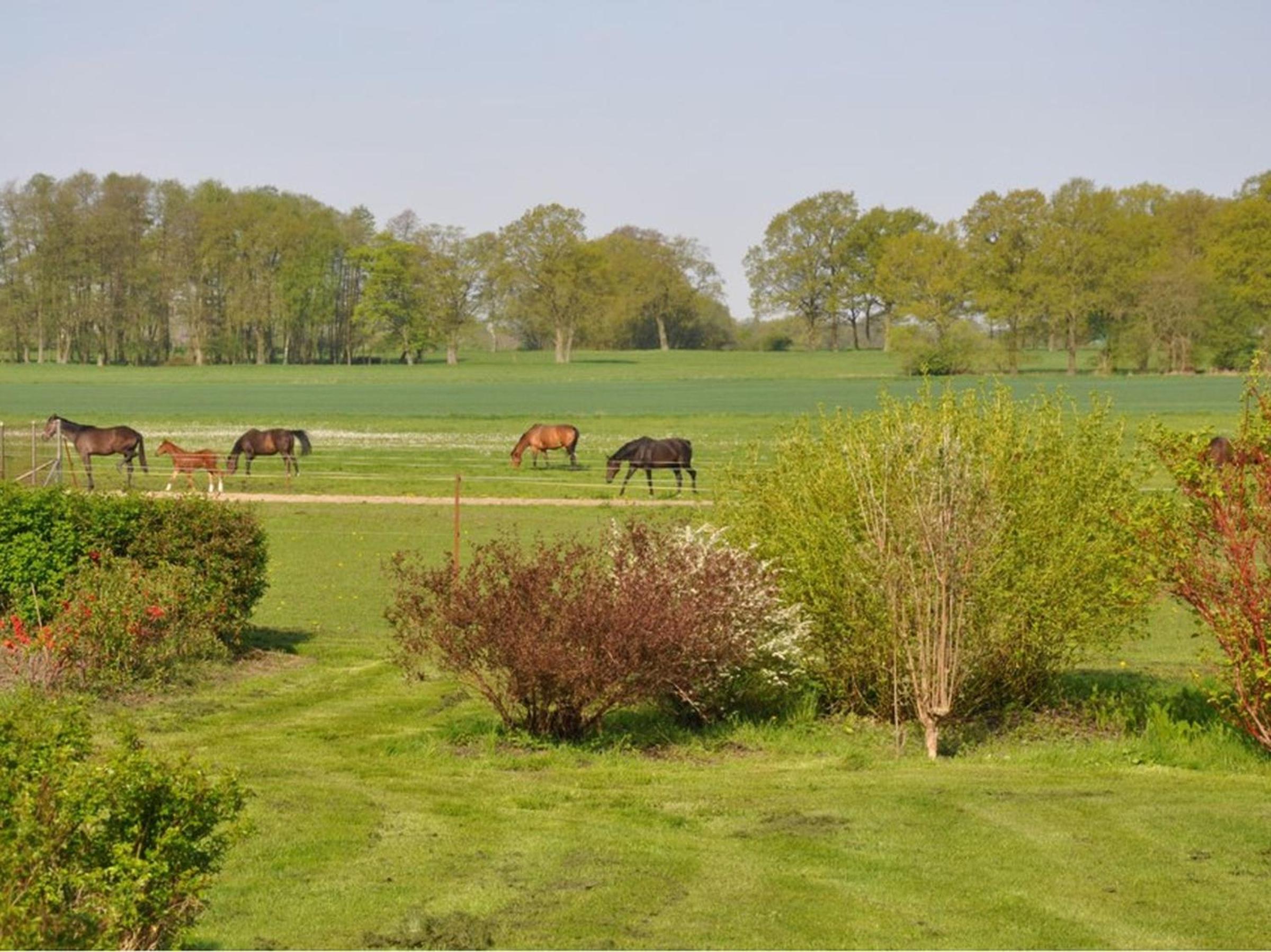 Ferienwohnung Koppelblick en Plattenburg — other