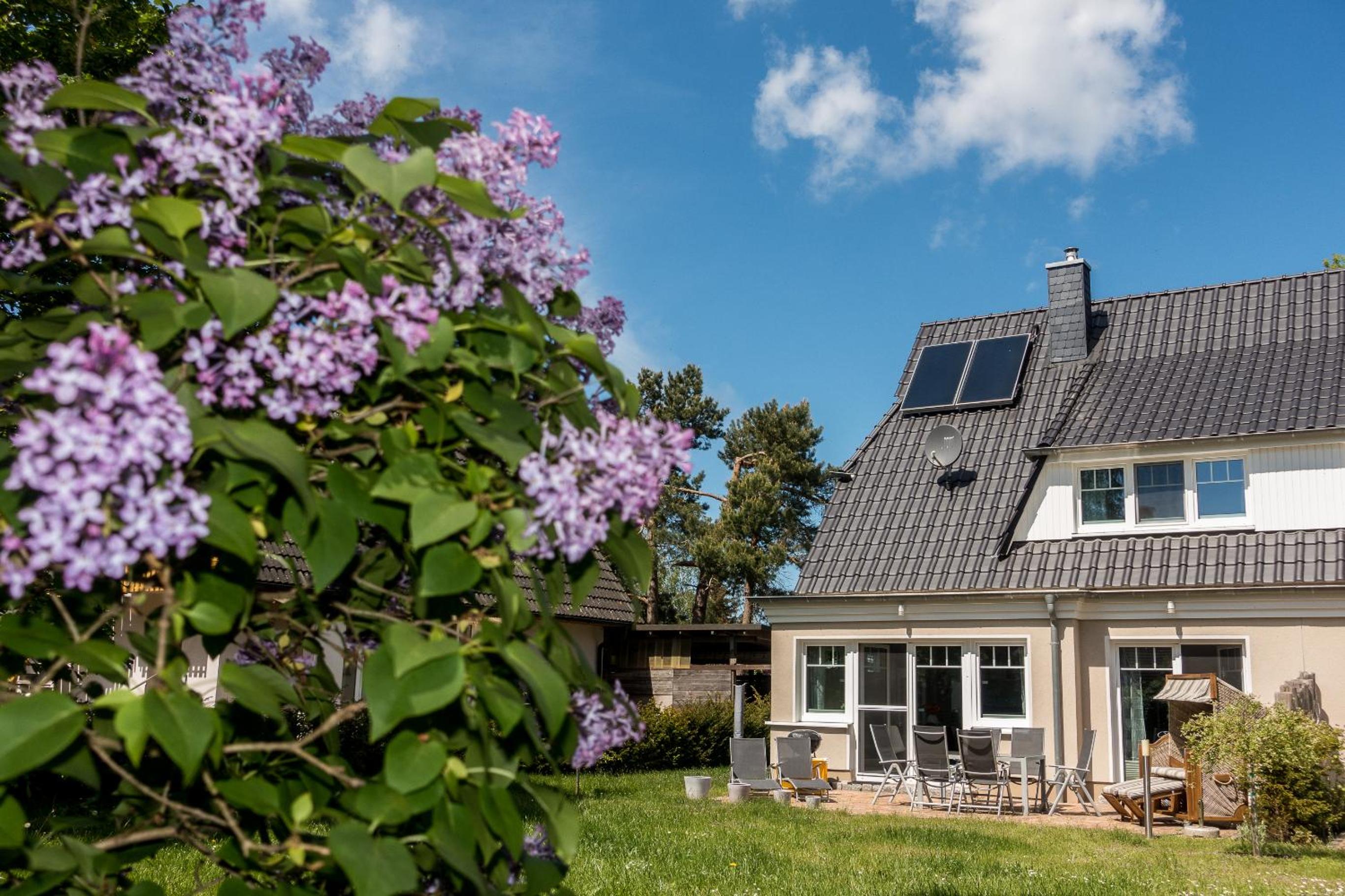 Premiumhaus Bodden und Mehr-Brise