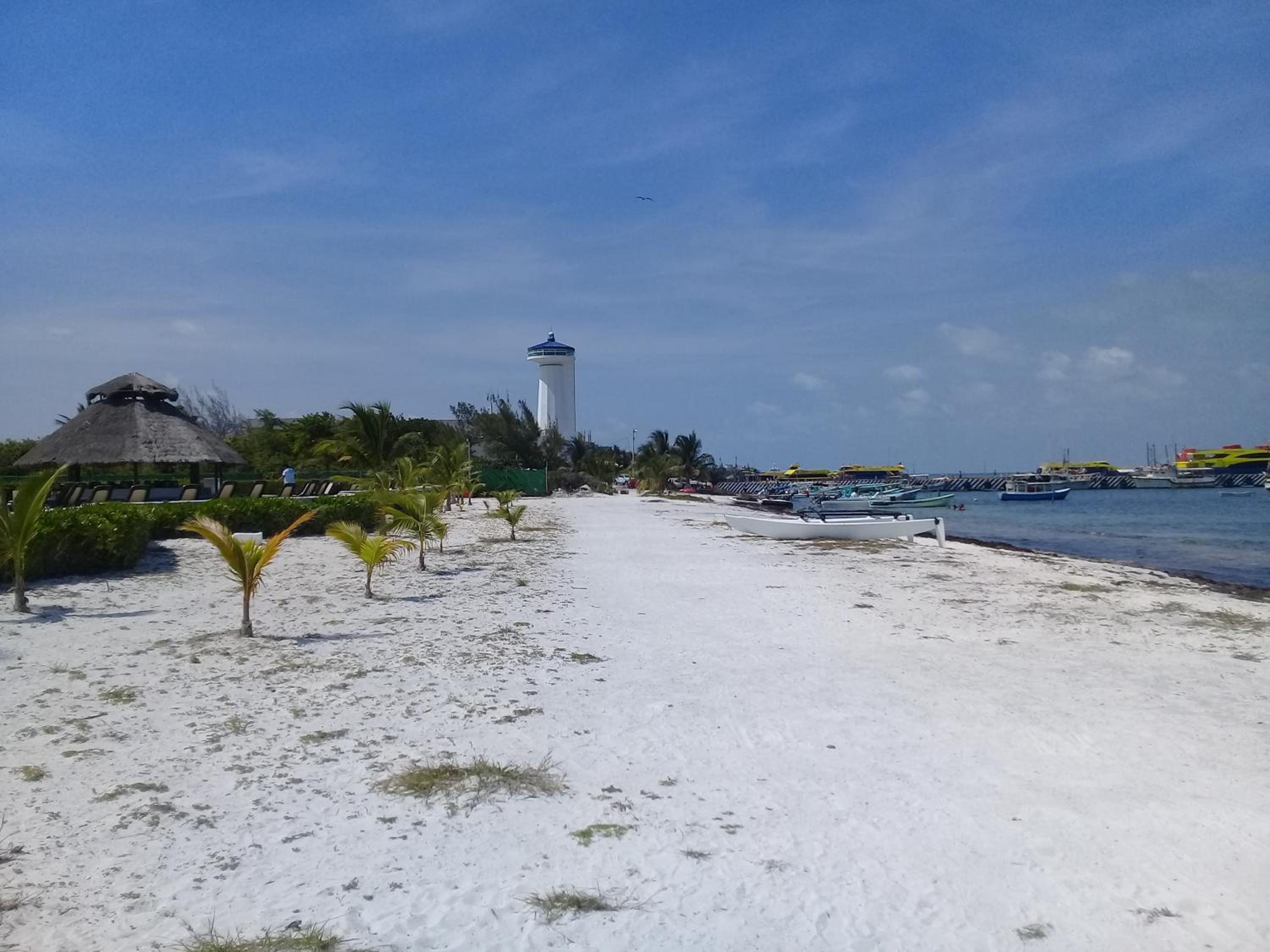 Swim the Caribbean & Work with a View