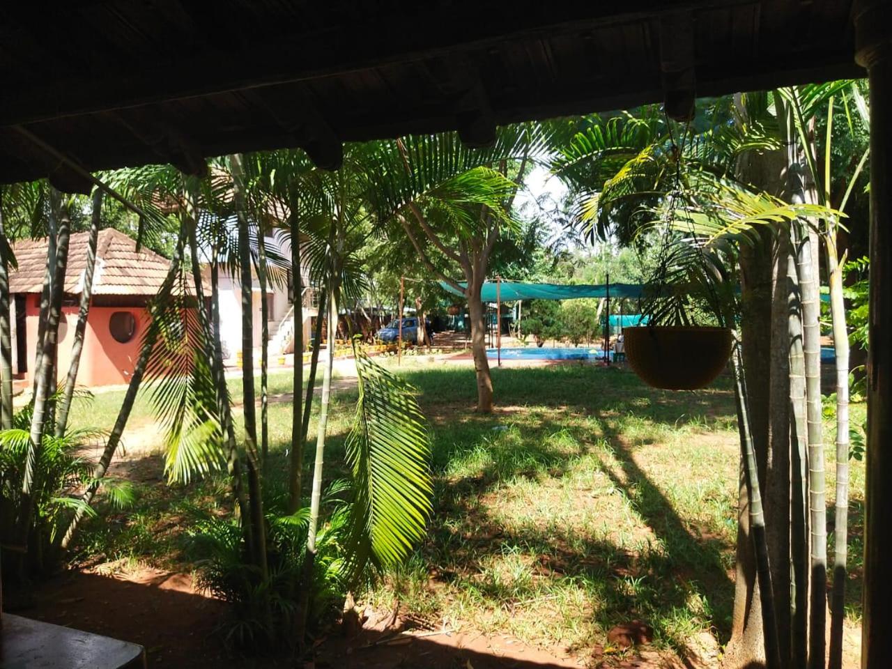 Photo 52
