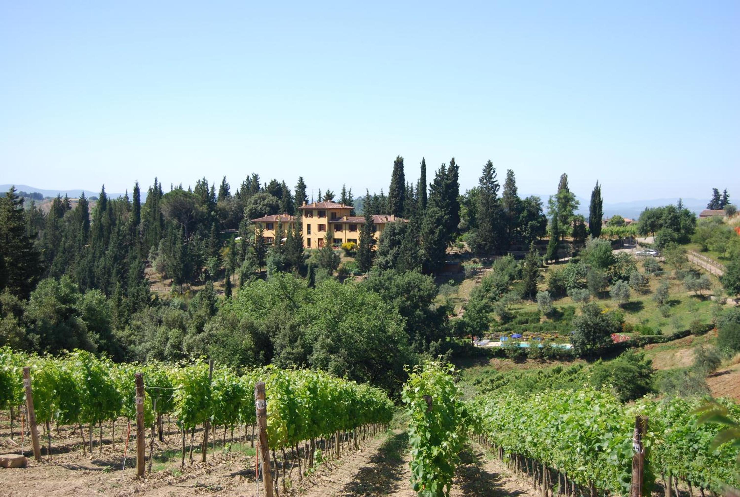 Tenuta la Cipresseta view 4