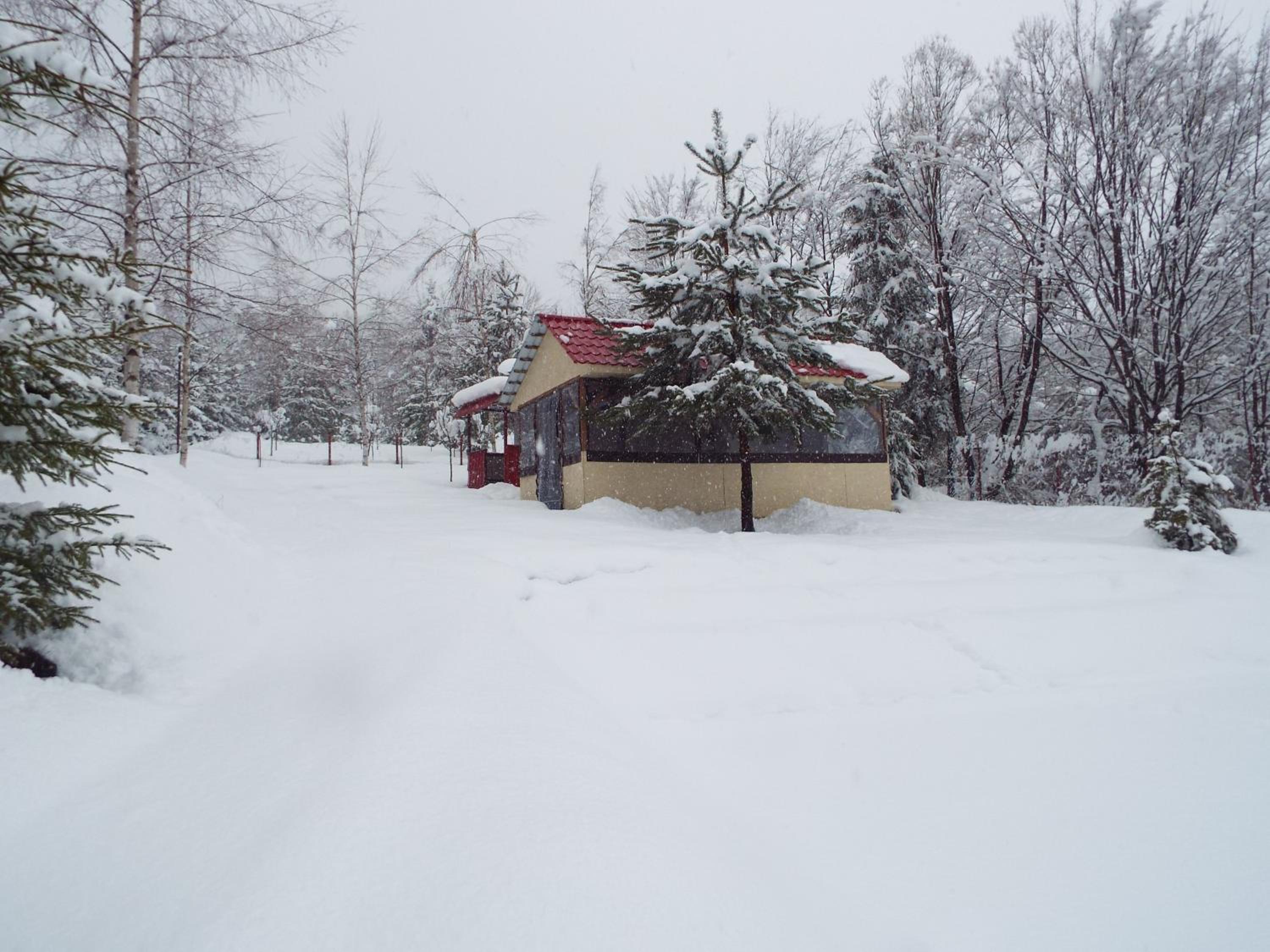 Photo 46