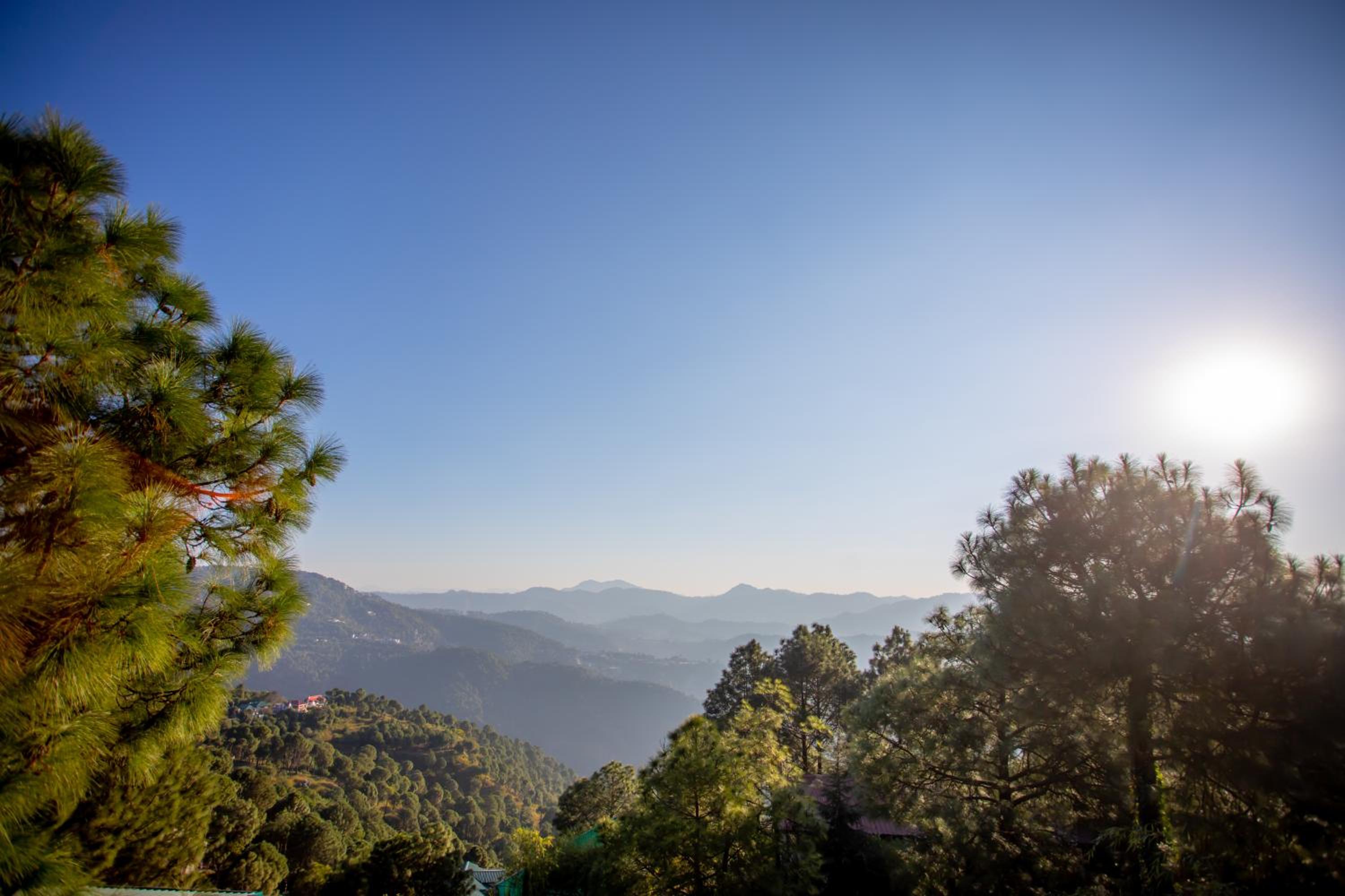 Seclude Kasauli, Himachal Pradesh, photo 176