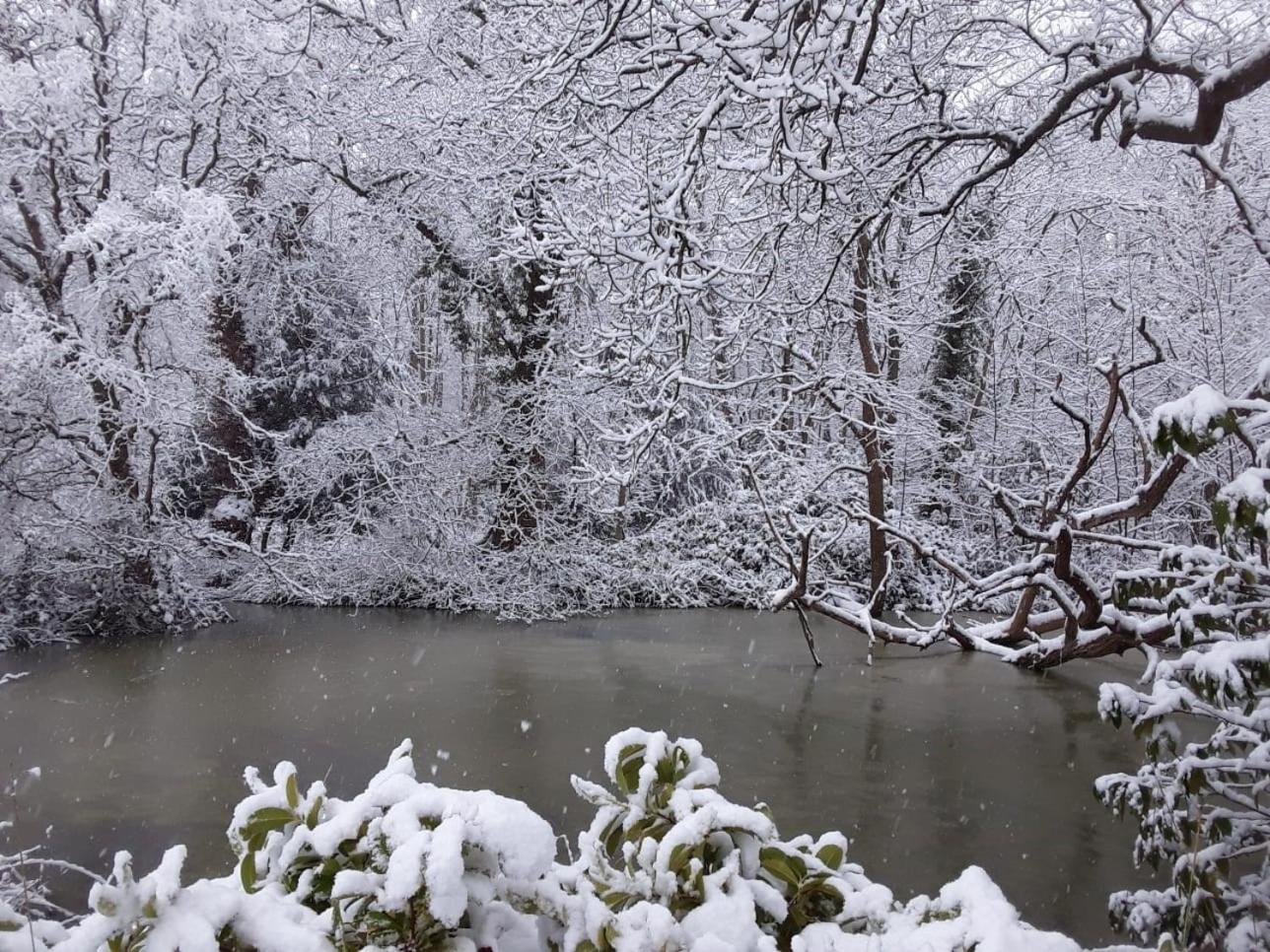 Guildford Vacations - Whitmoor Farm - Property Image 2