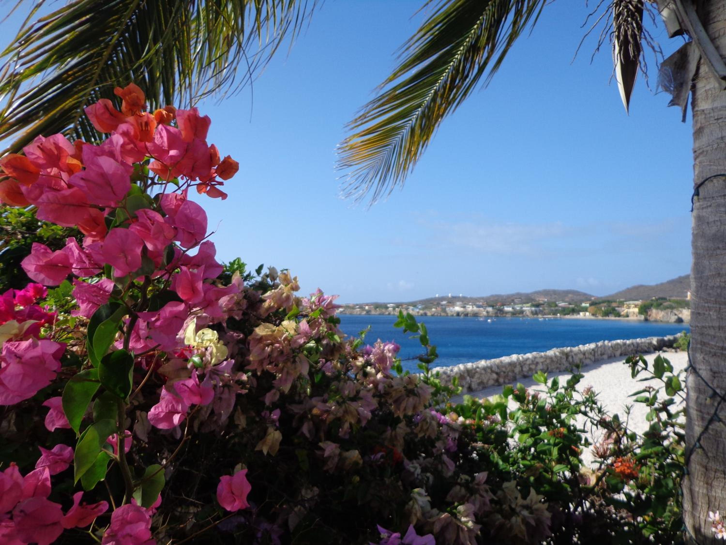 Marazul Dive Resort