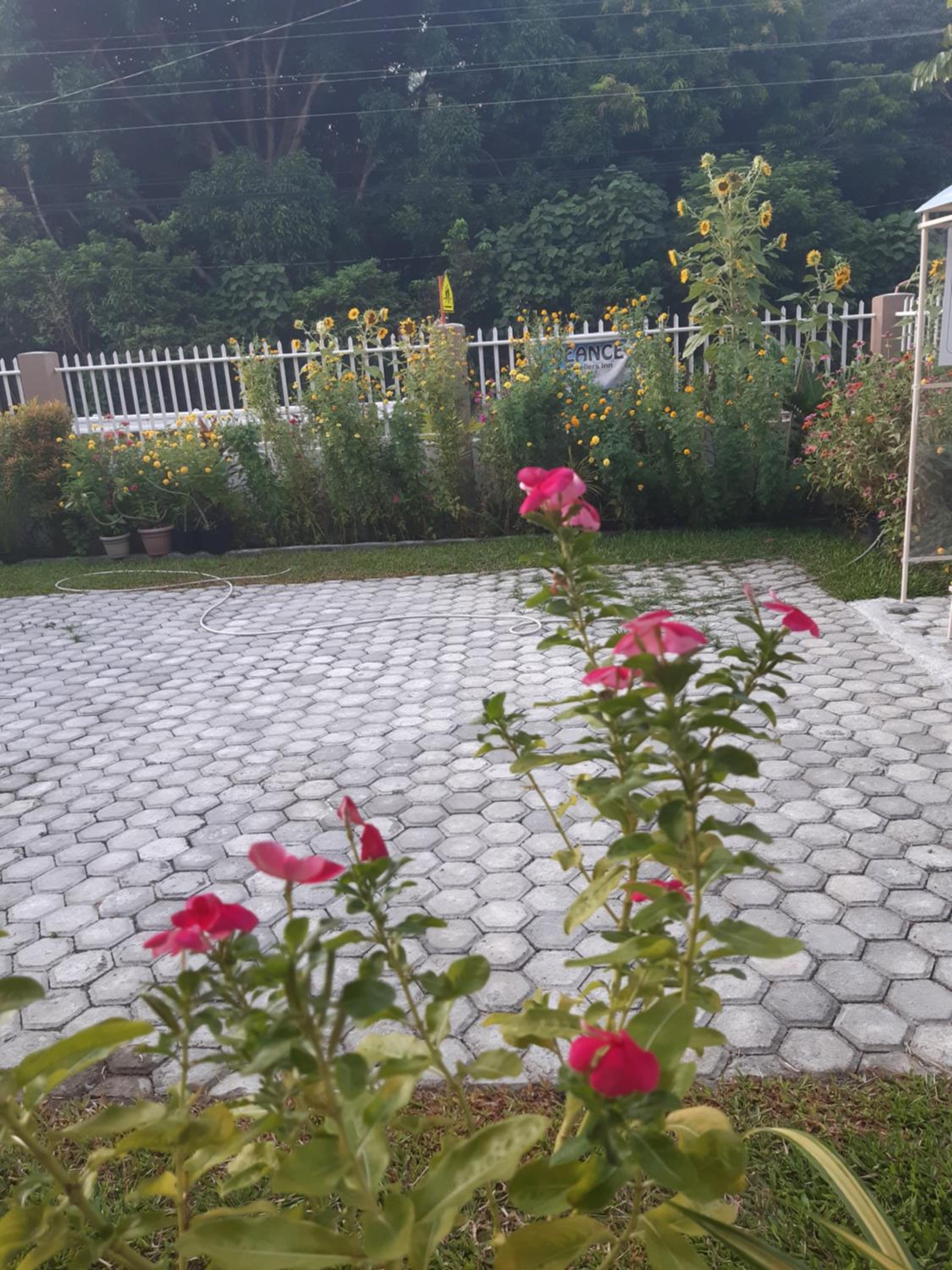 Photo 20