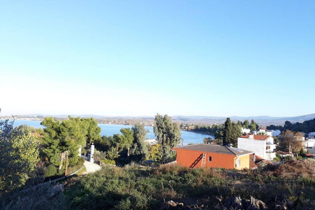 Photo 45