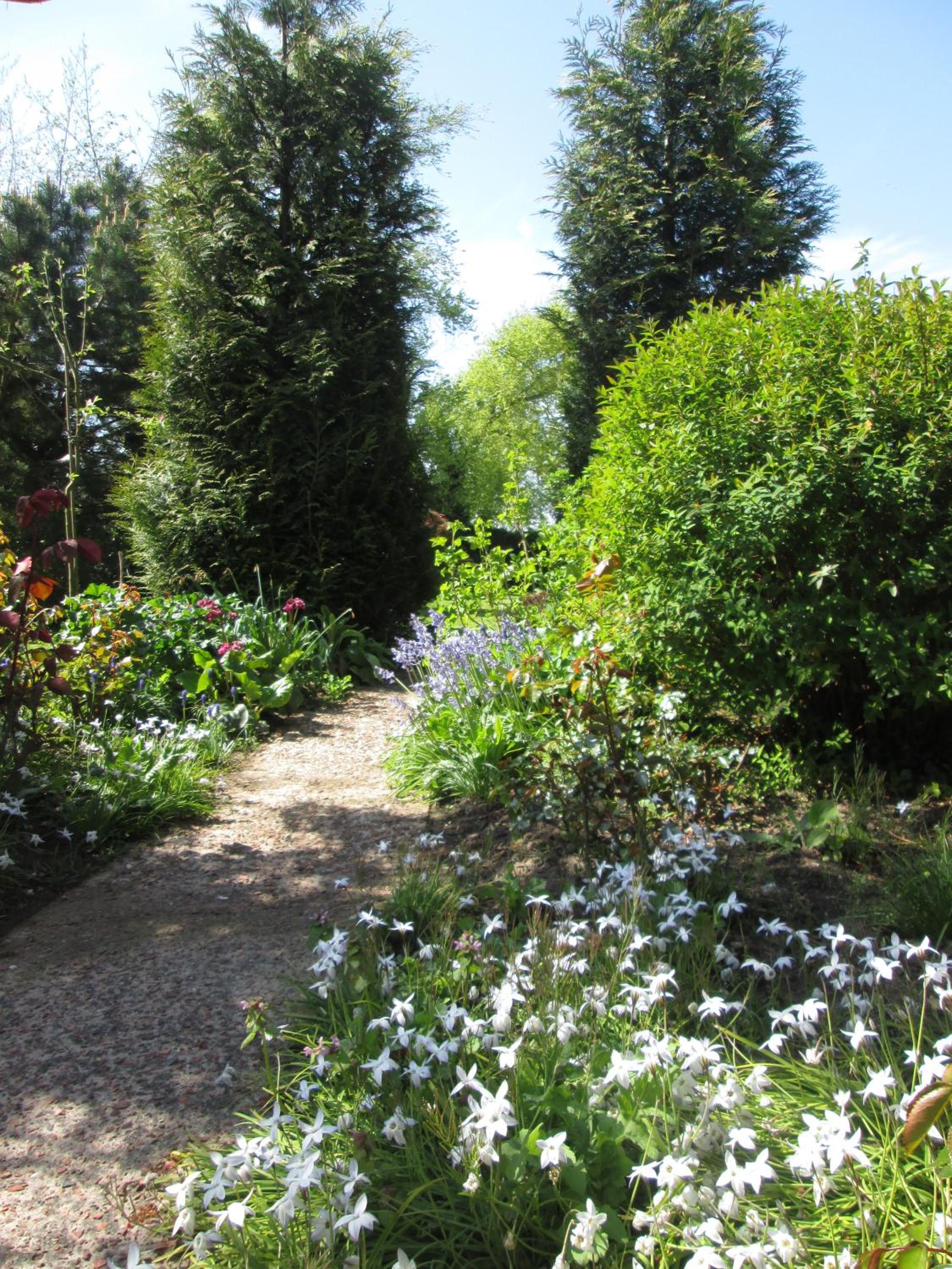 Photo 45