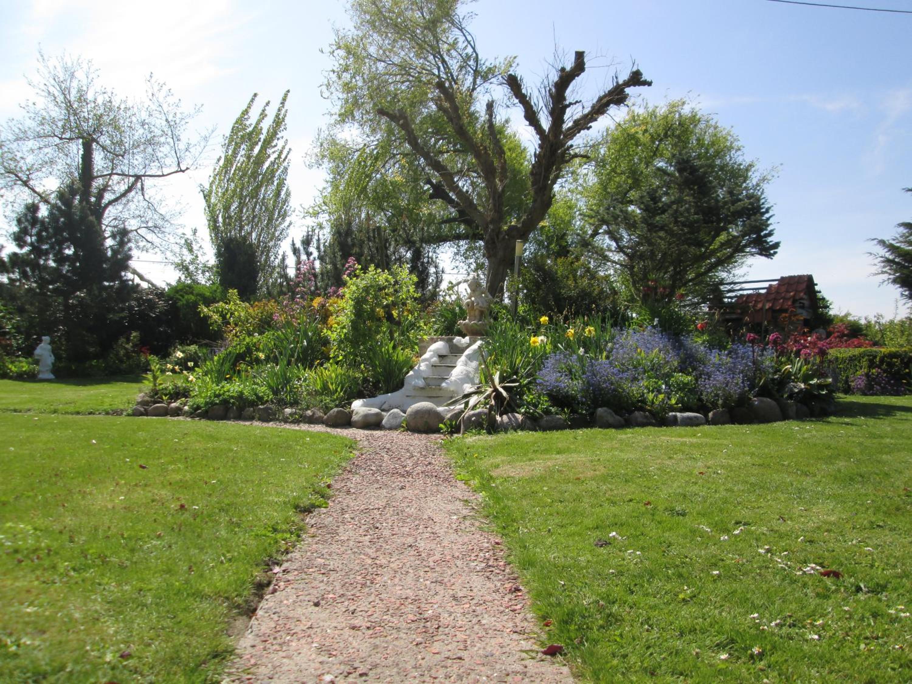 Photo 46