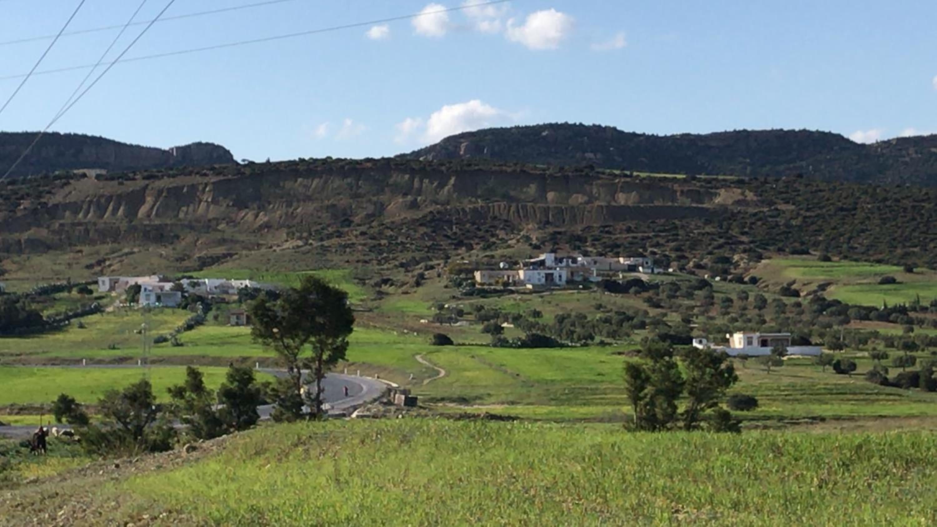 Villa Phoenicia