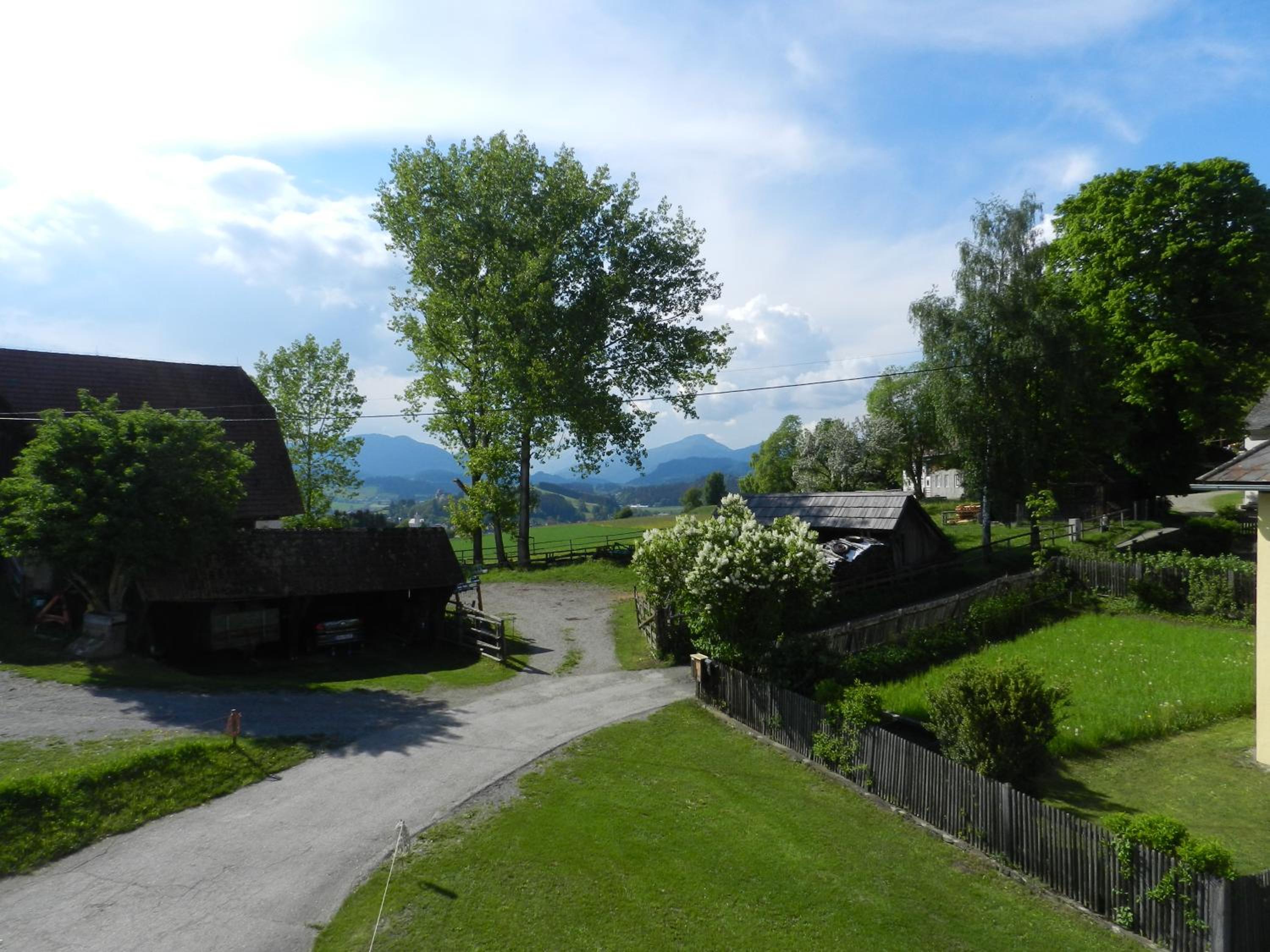 Photo 22