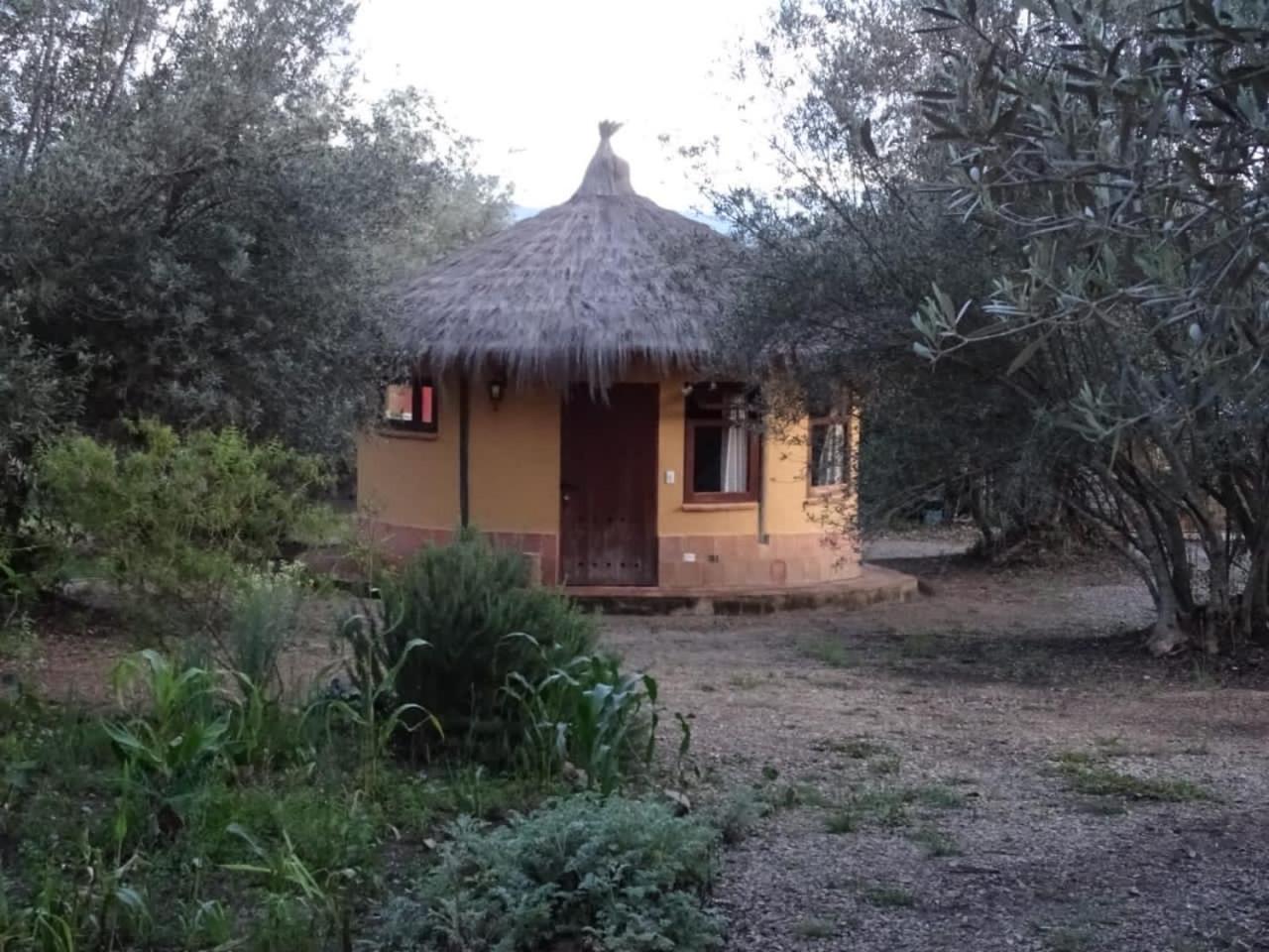 Habitaciones Luna Campestre