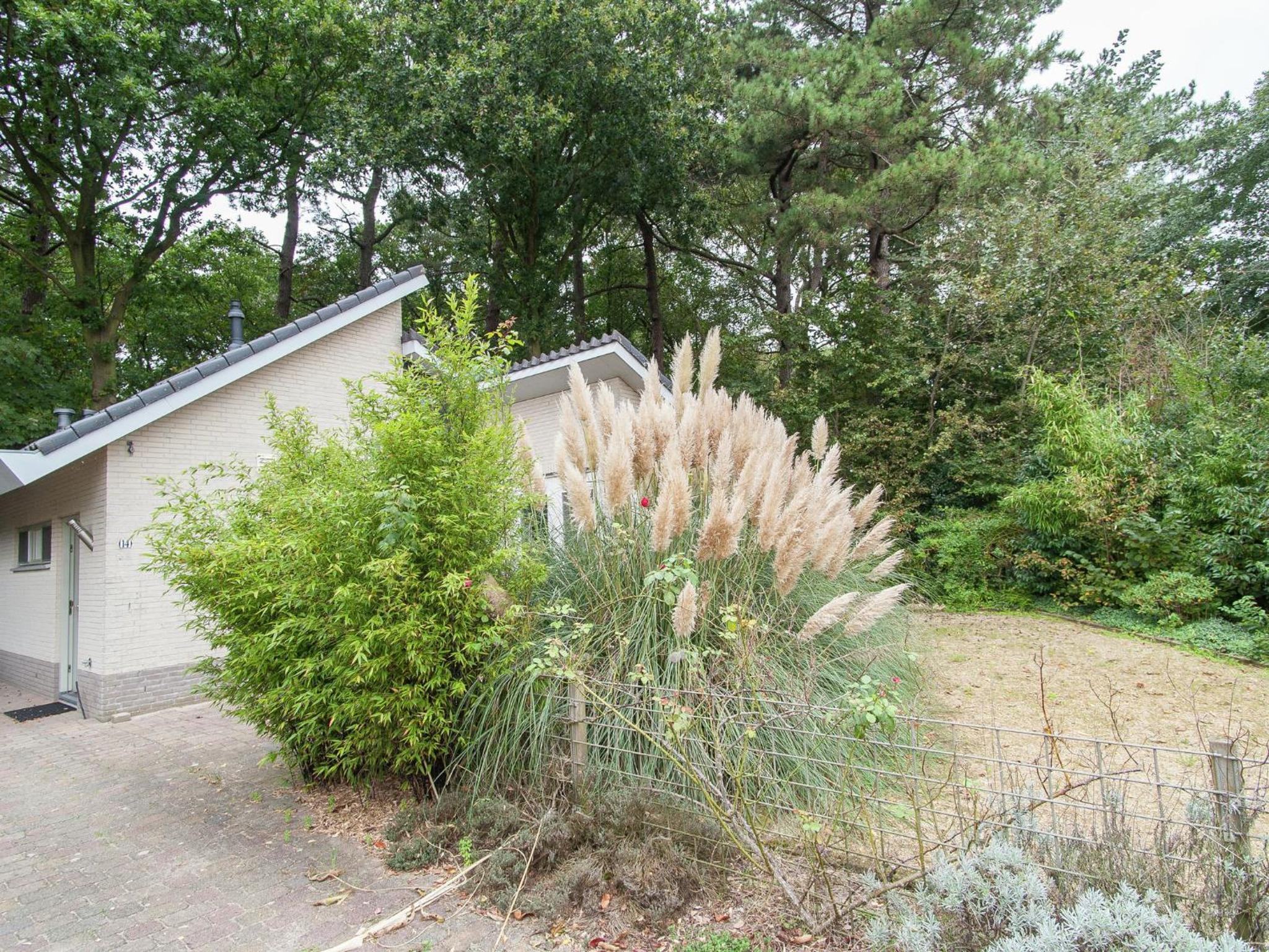 Elite Holiday Home in North Holland near Forest view 5