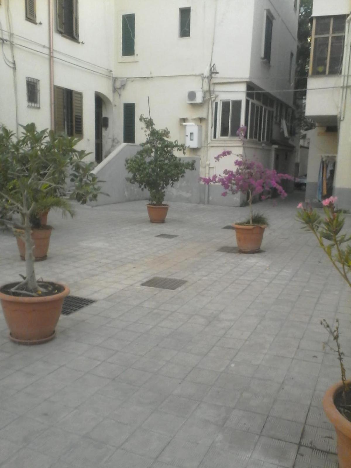 Alfa & Phi view 4