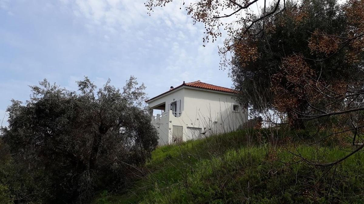 Photo 38
