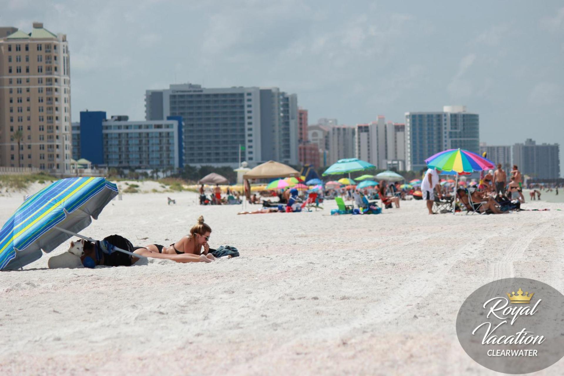 Royal Tropical at Avalon Clearwater - Pool & Free Parking - 10 Min Drive to Clearwater Beach view 3