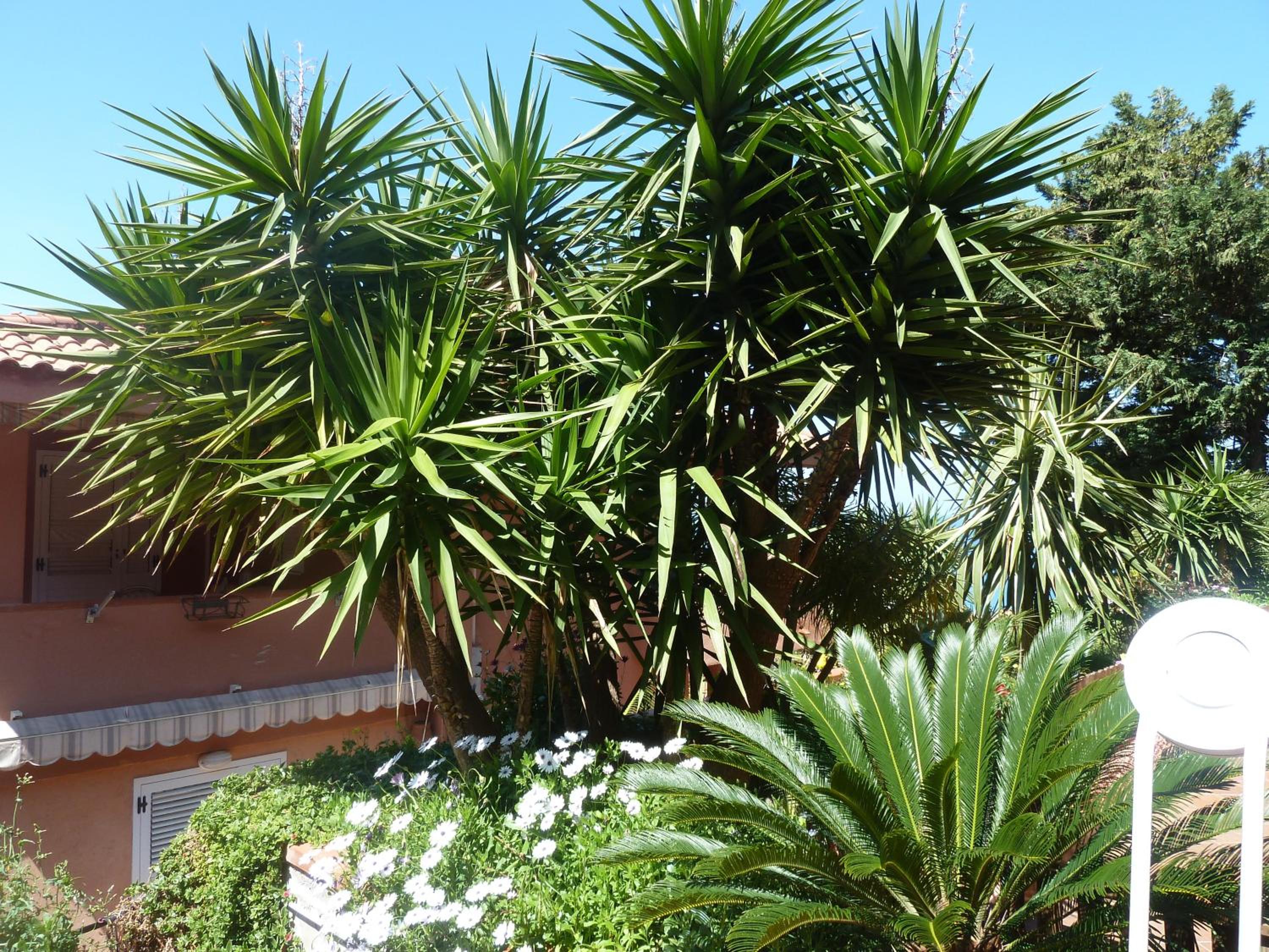 B&B Villa Di Giorgi