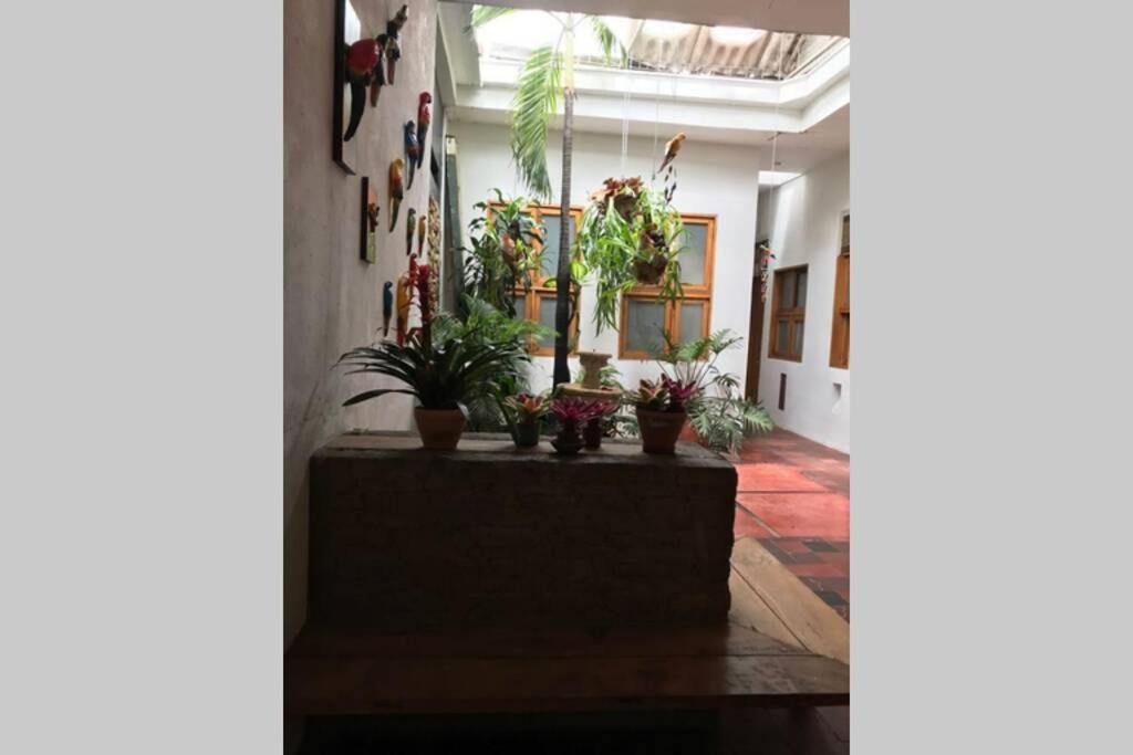 Parrot House San Antonio