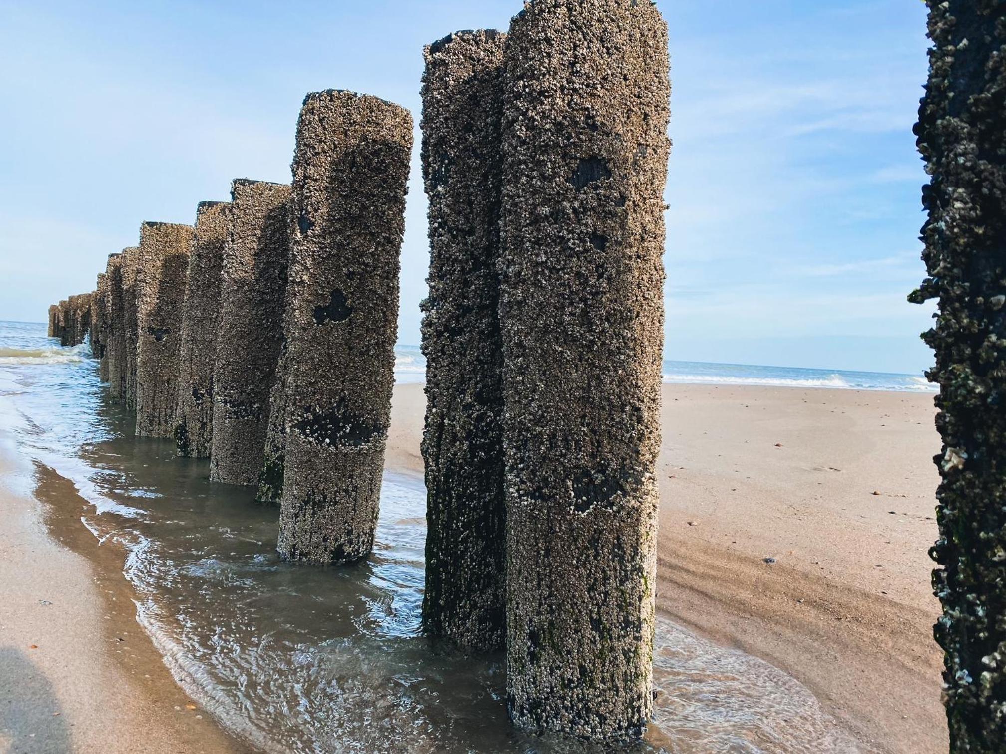Vakantiehuis Domburg DO33 view 3
