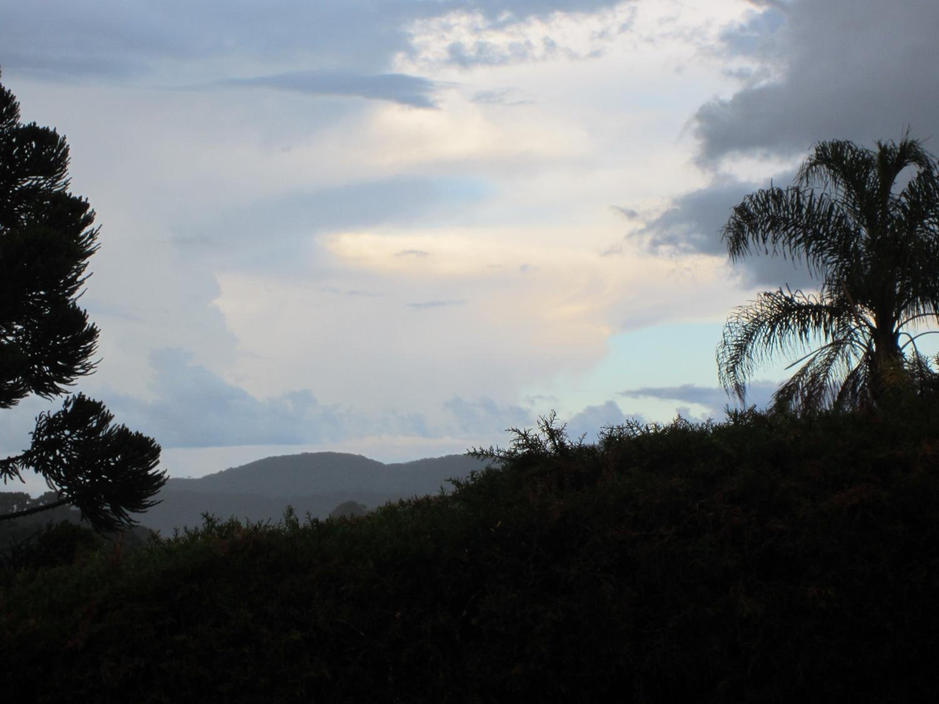Photo 46