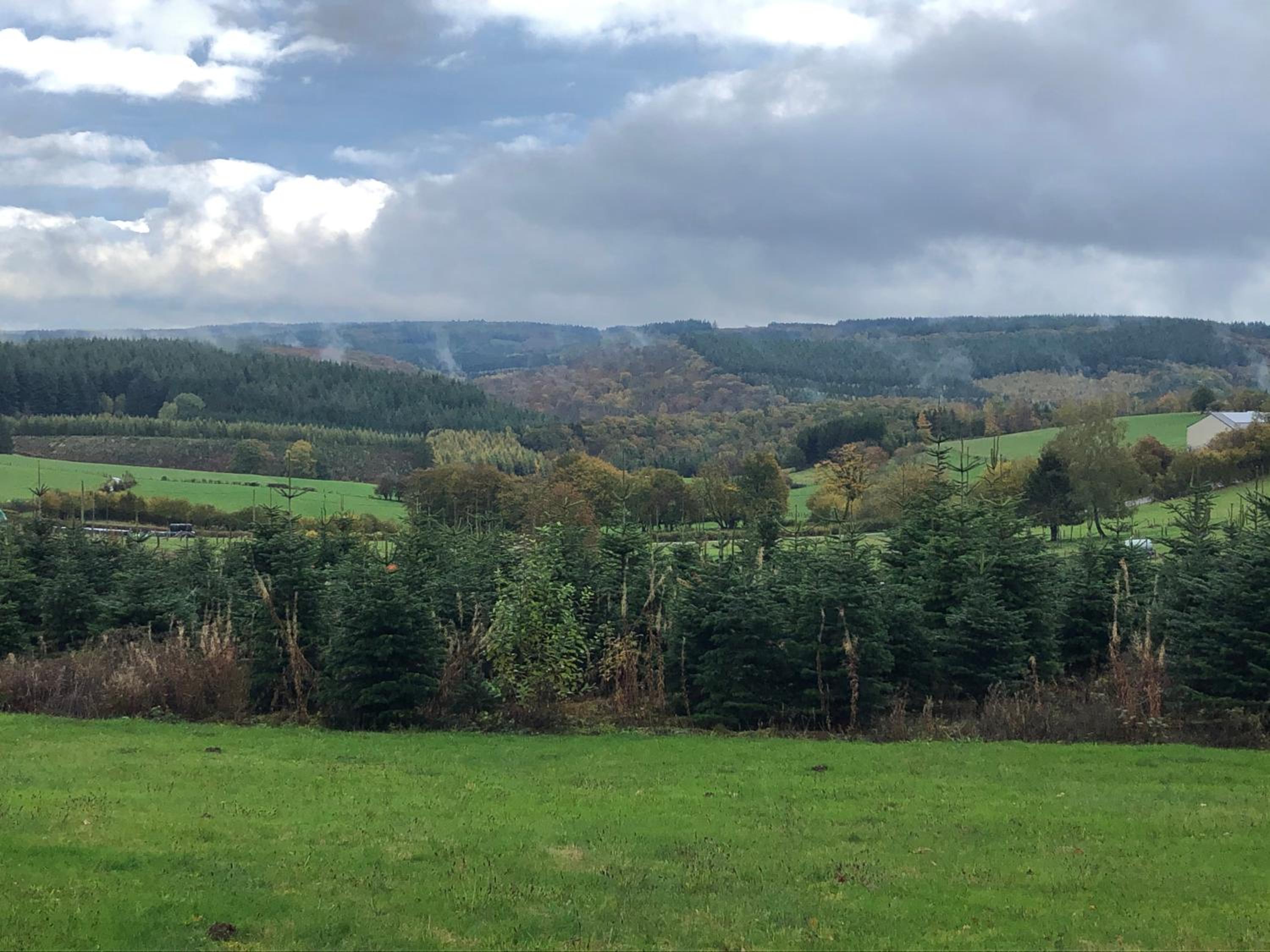 Les Caliciades 1 à Gros-Fays