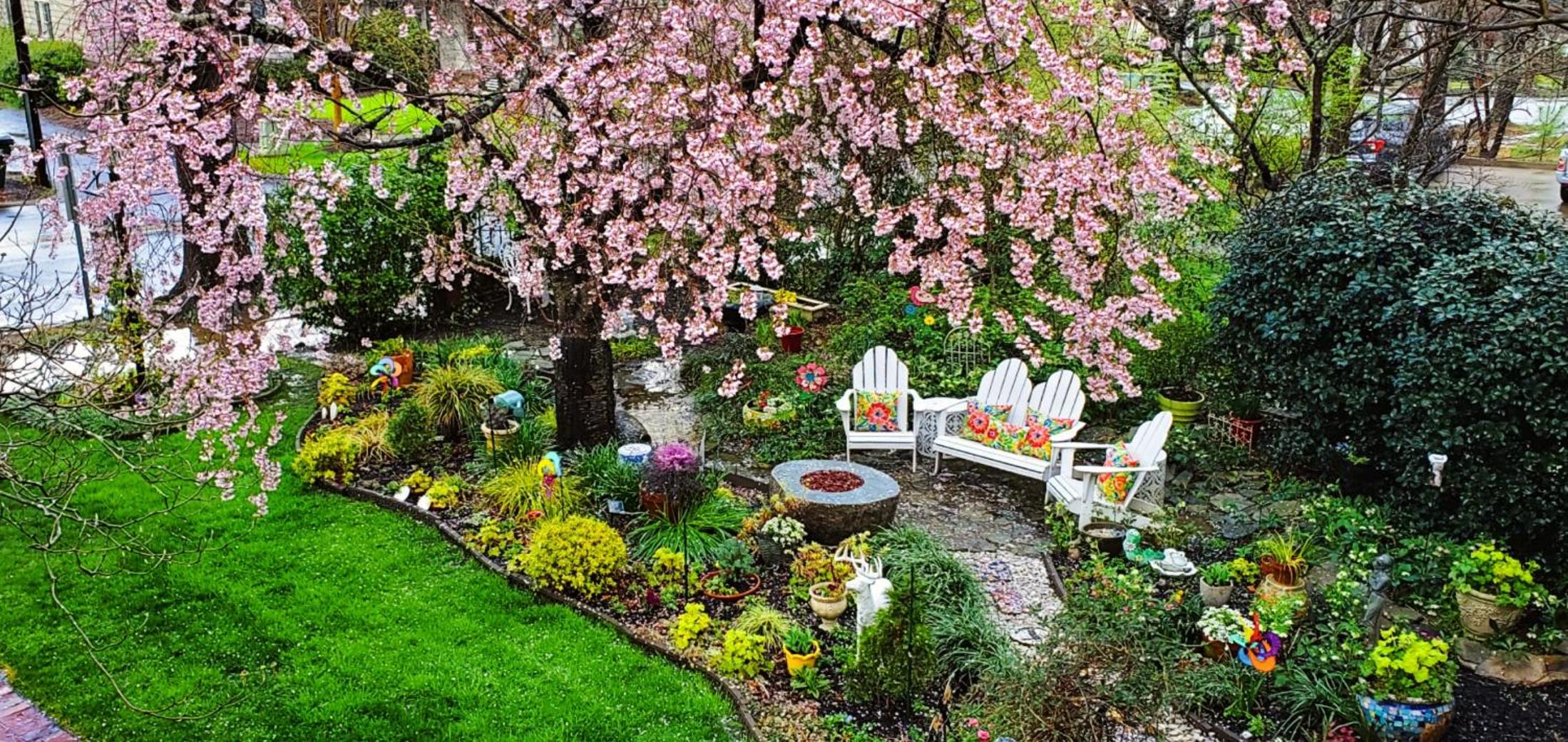Pettigru Place Bed & Breakfast