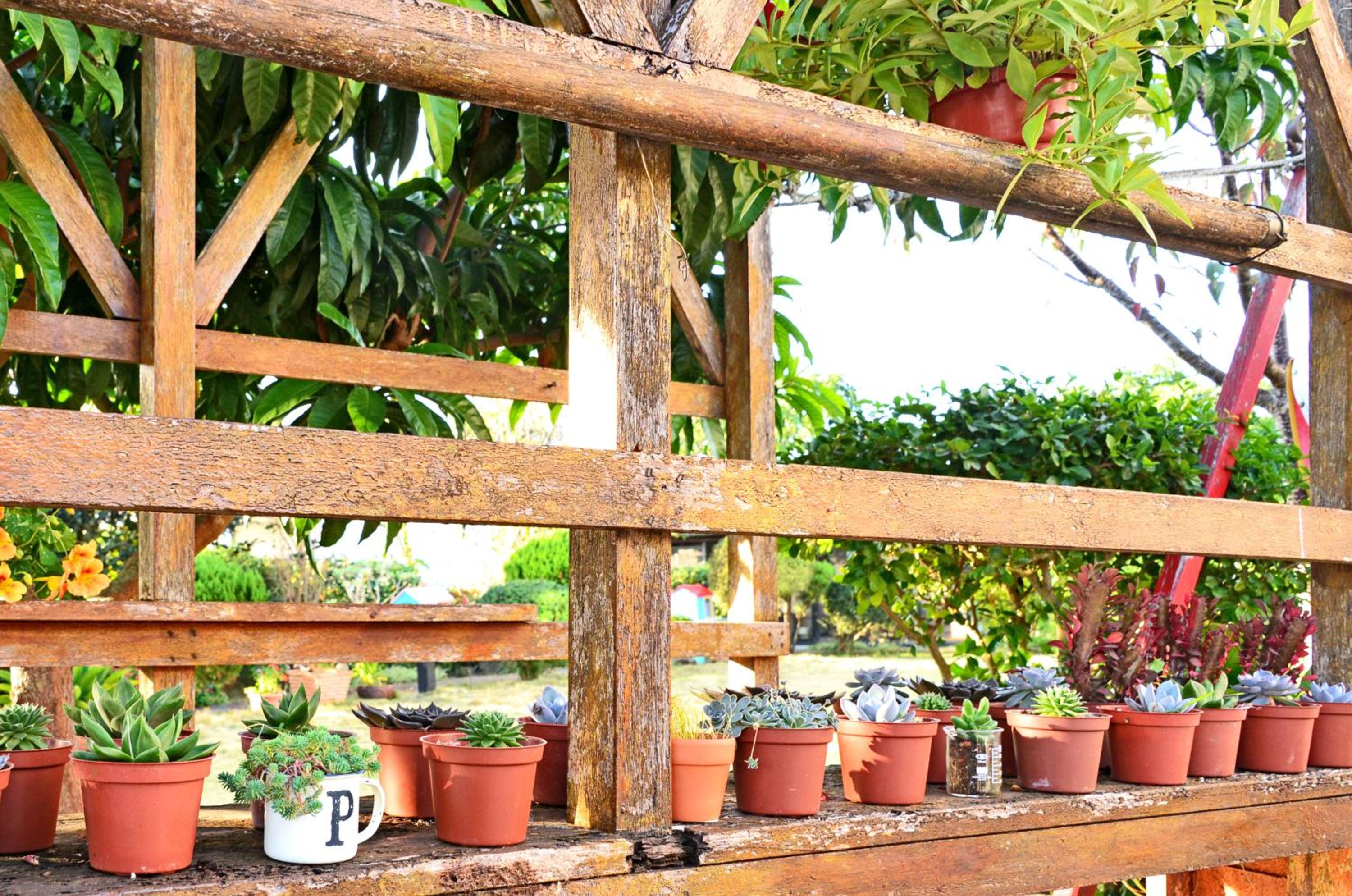Taichung Xinshe Garden Life Homestay B&B