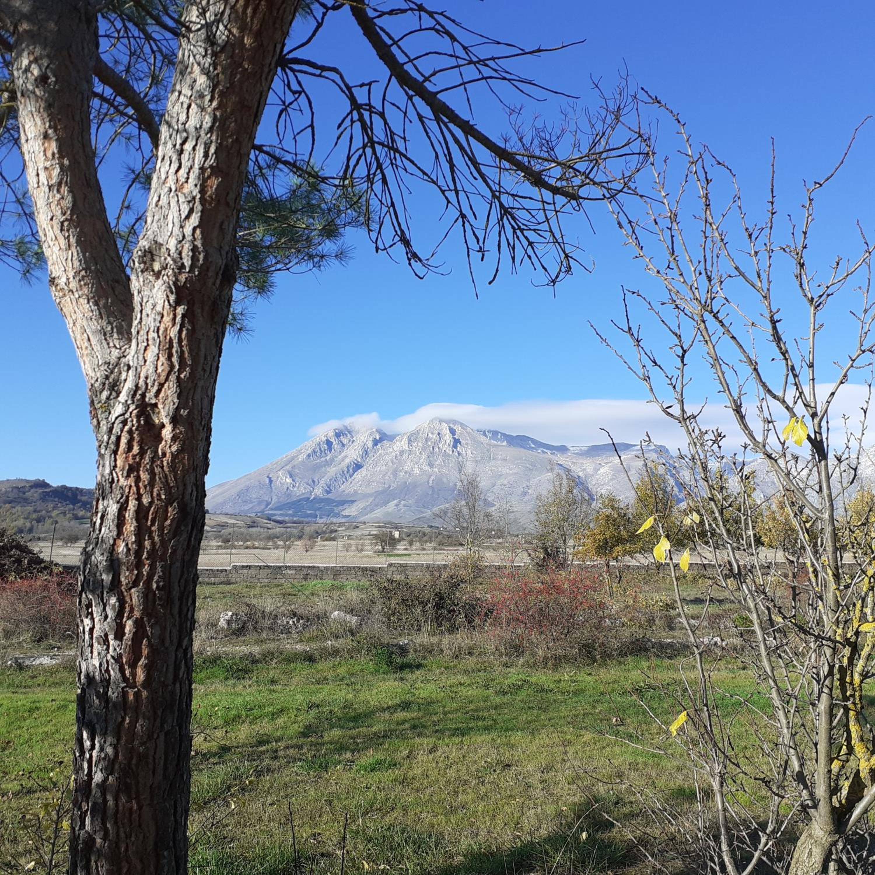 Villa Giulia view 3