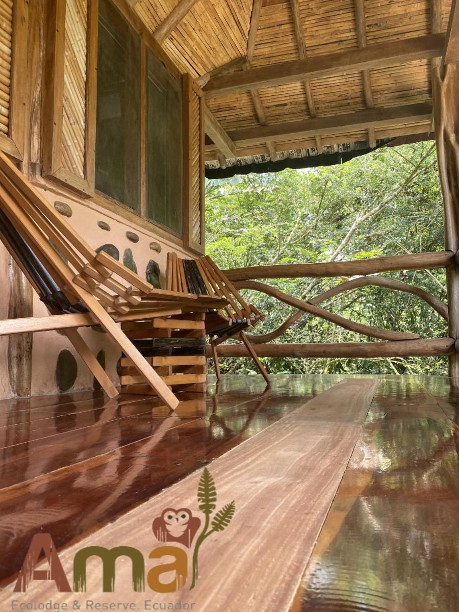 Ama Ecolodge view 3