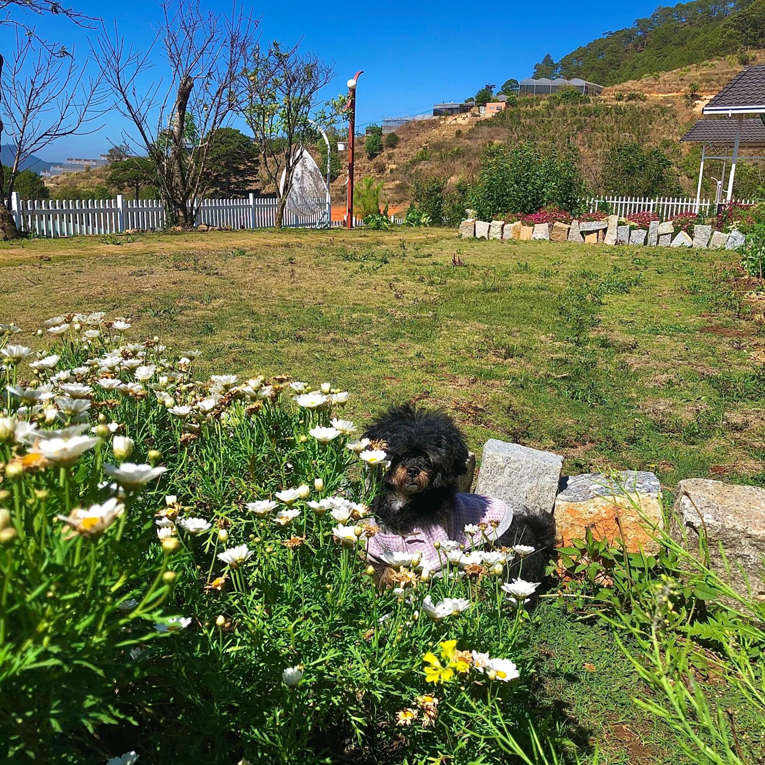 Photo 32