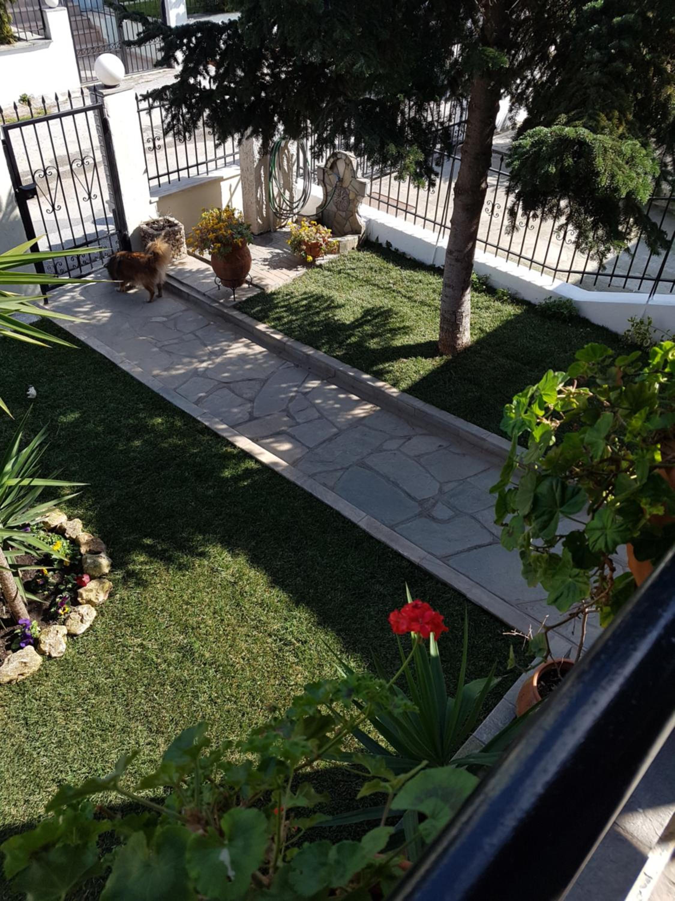 Photo 44