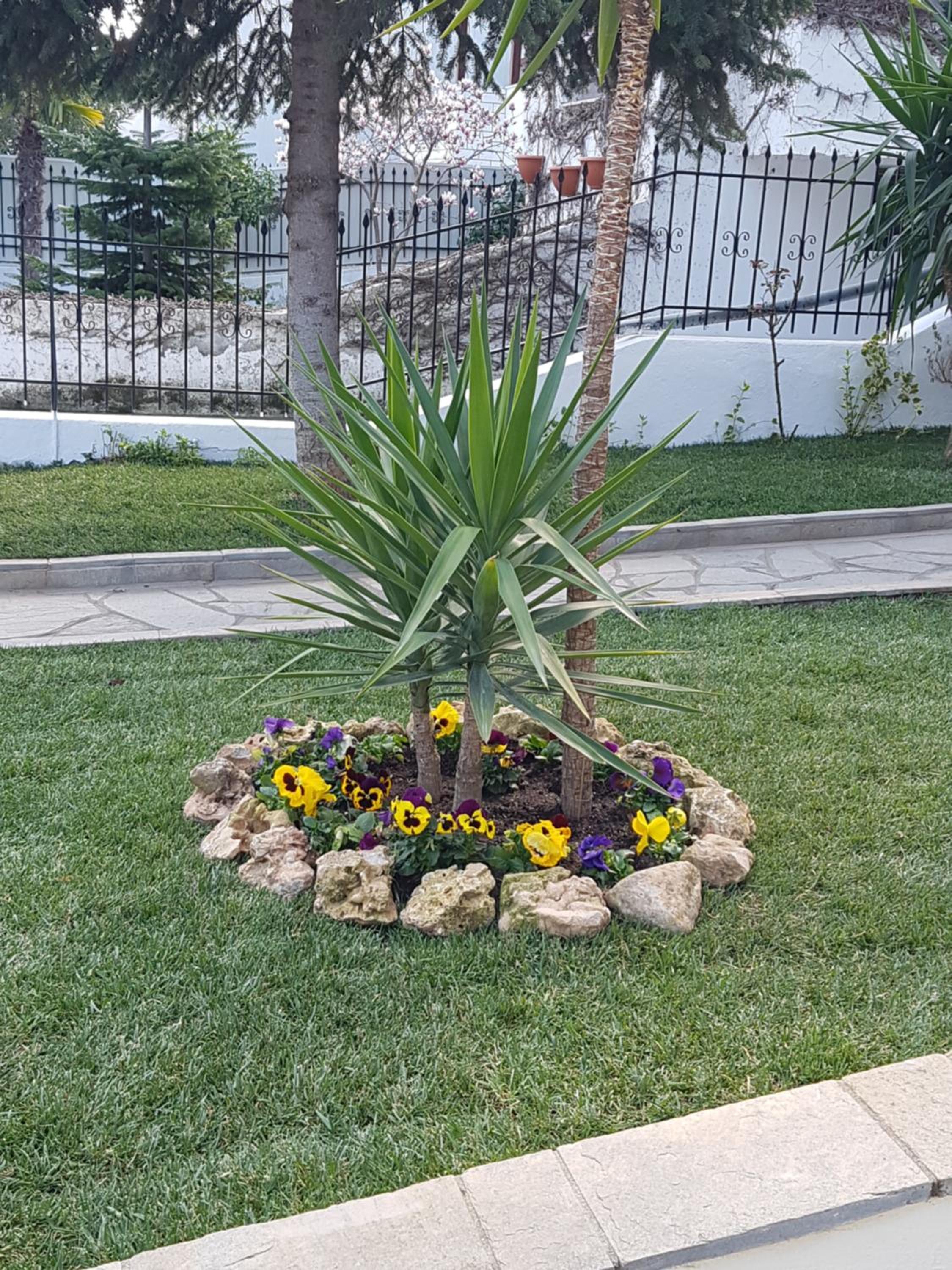 Photo 20