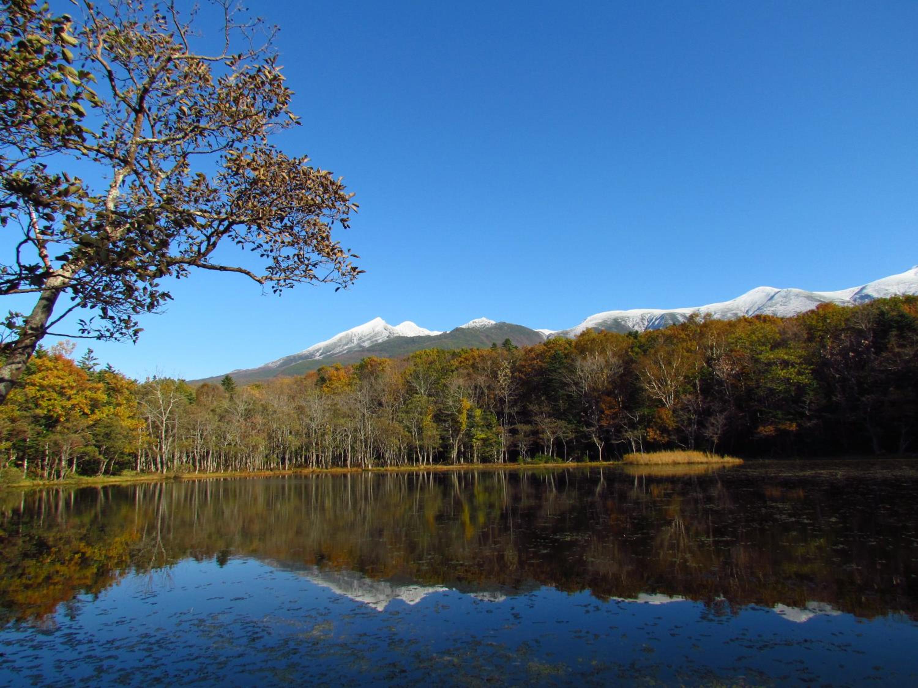 Kitakobushi Shiretoko Hotel & Resort