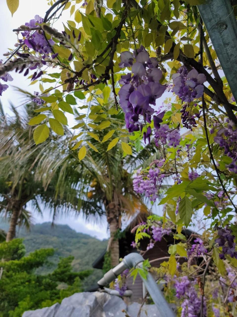 YingChia SPA Homestay