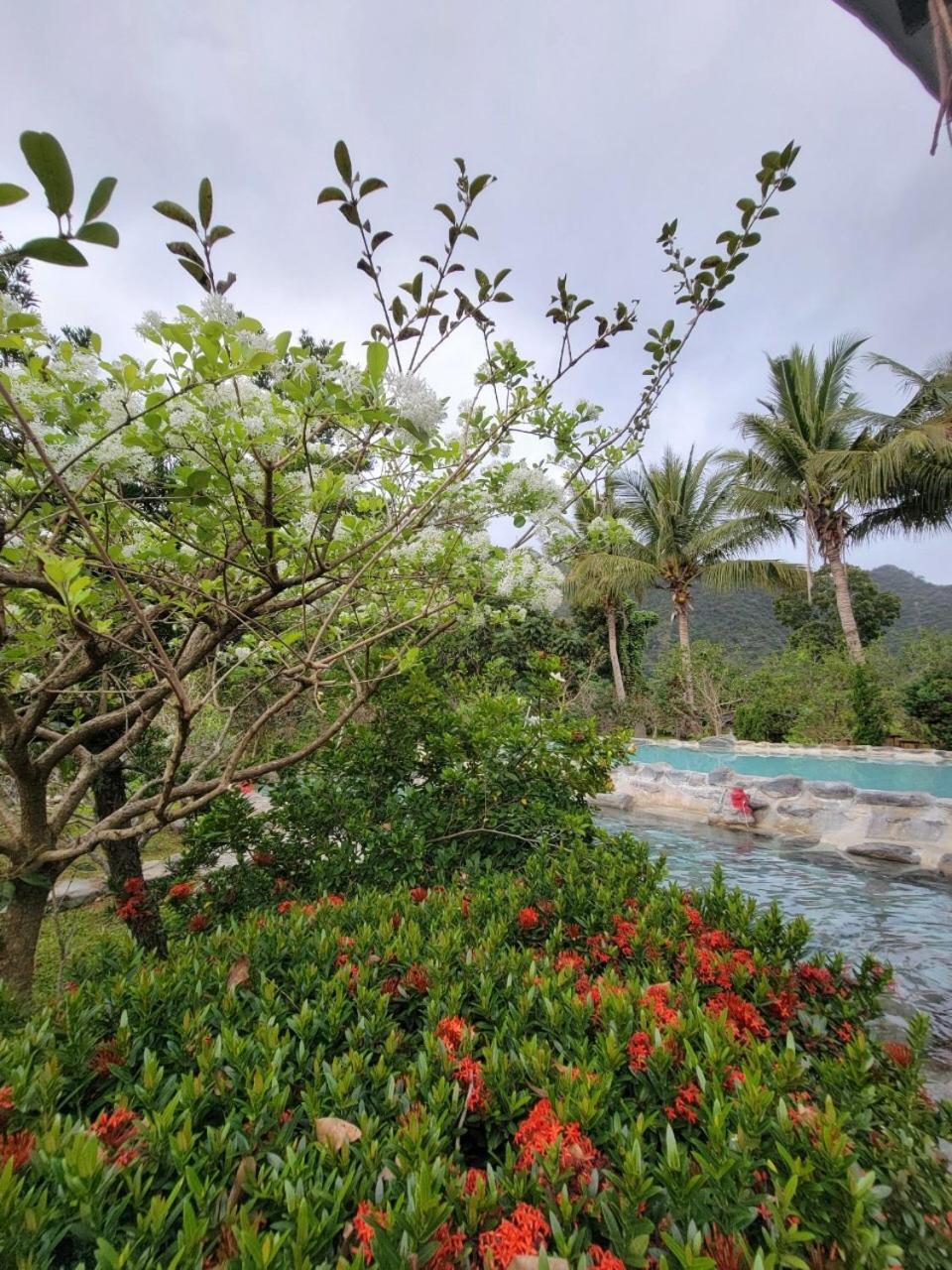 YingChia SPA Homestay