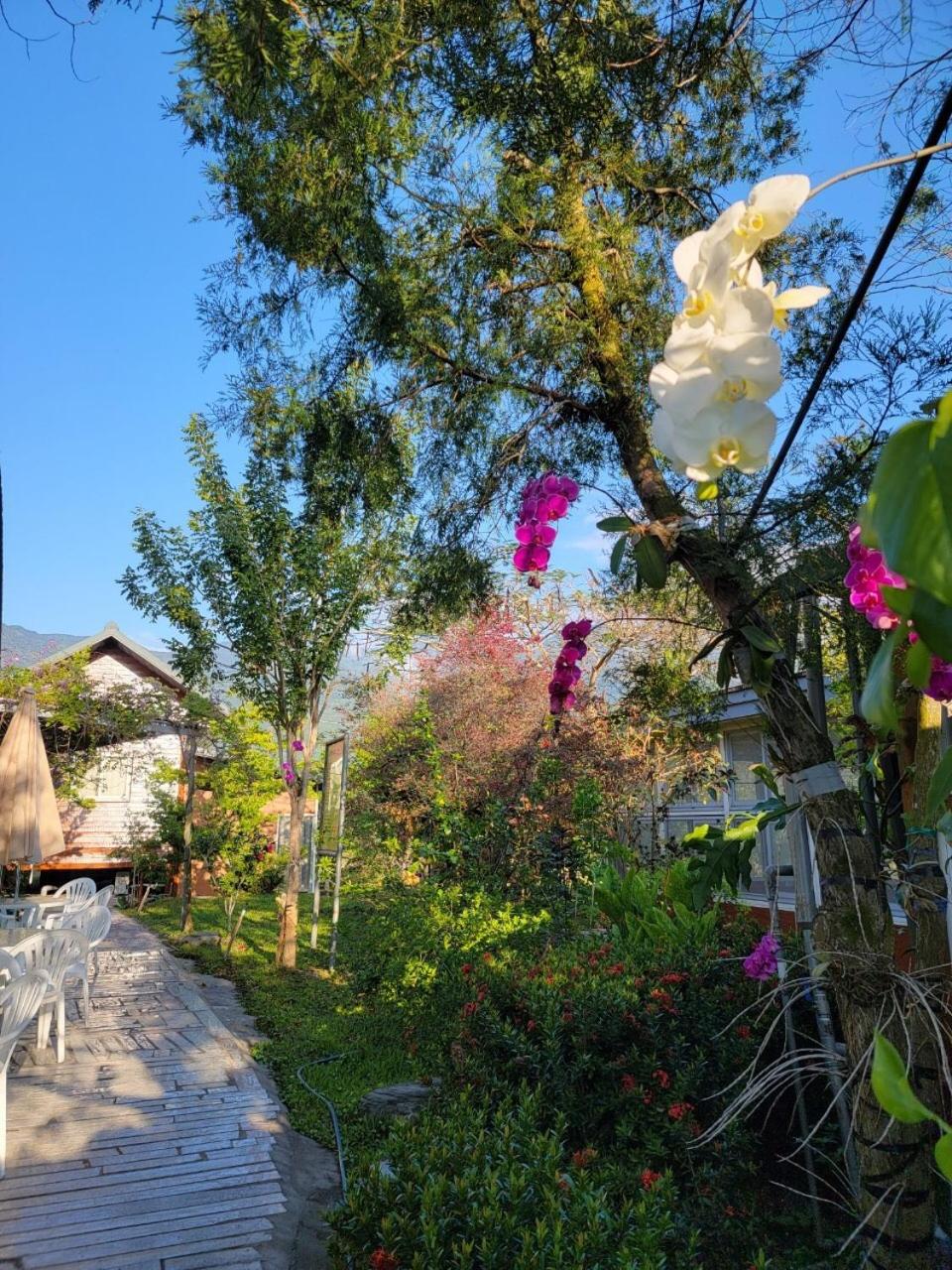 YingChia SPA Homestay