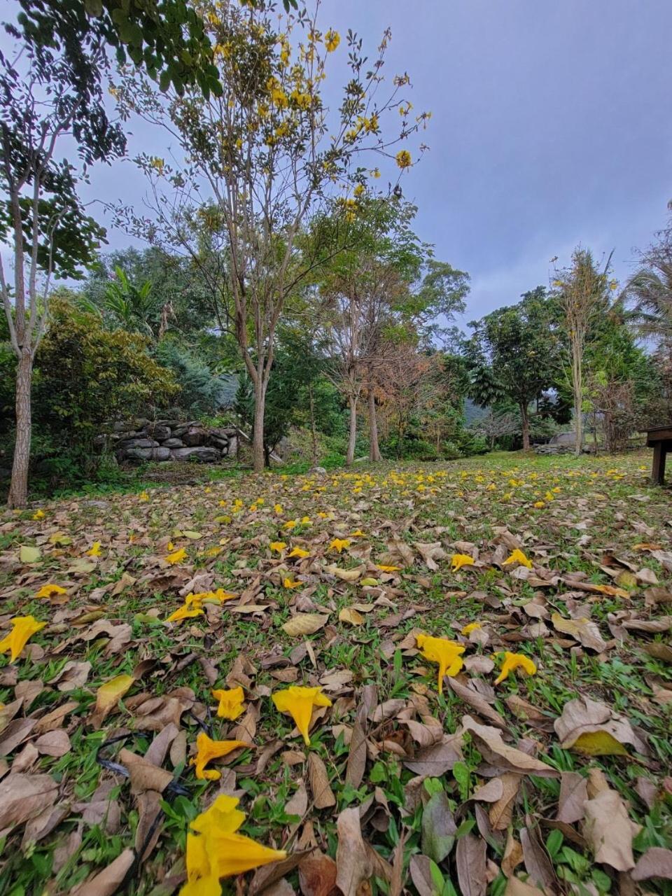YingChia SPA Homestay