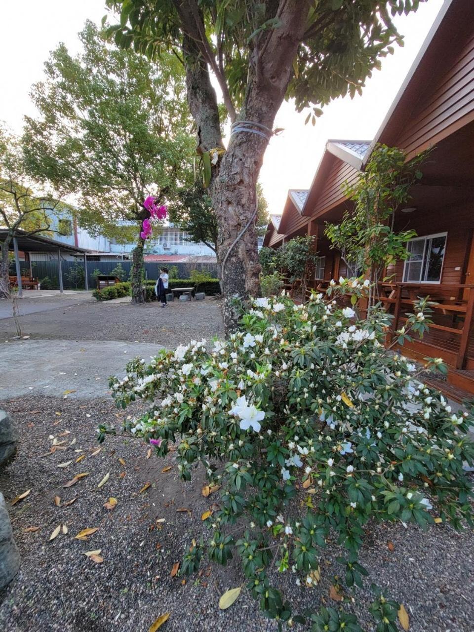 YingChia SPA Homestay